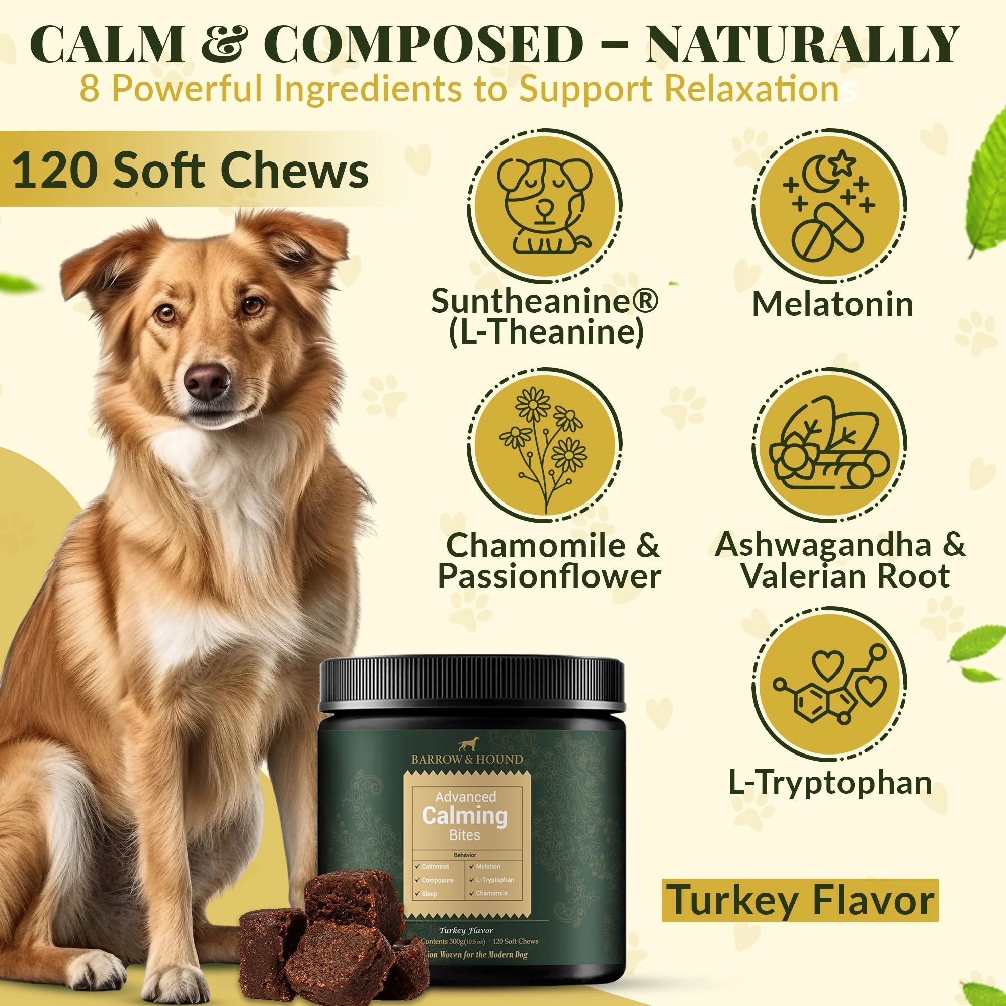Calming Bites for Dogs – Stress & Anxiety Relief - Image 3