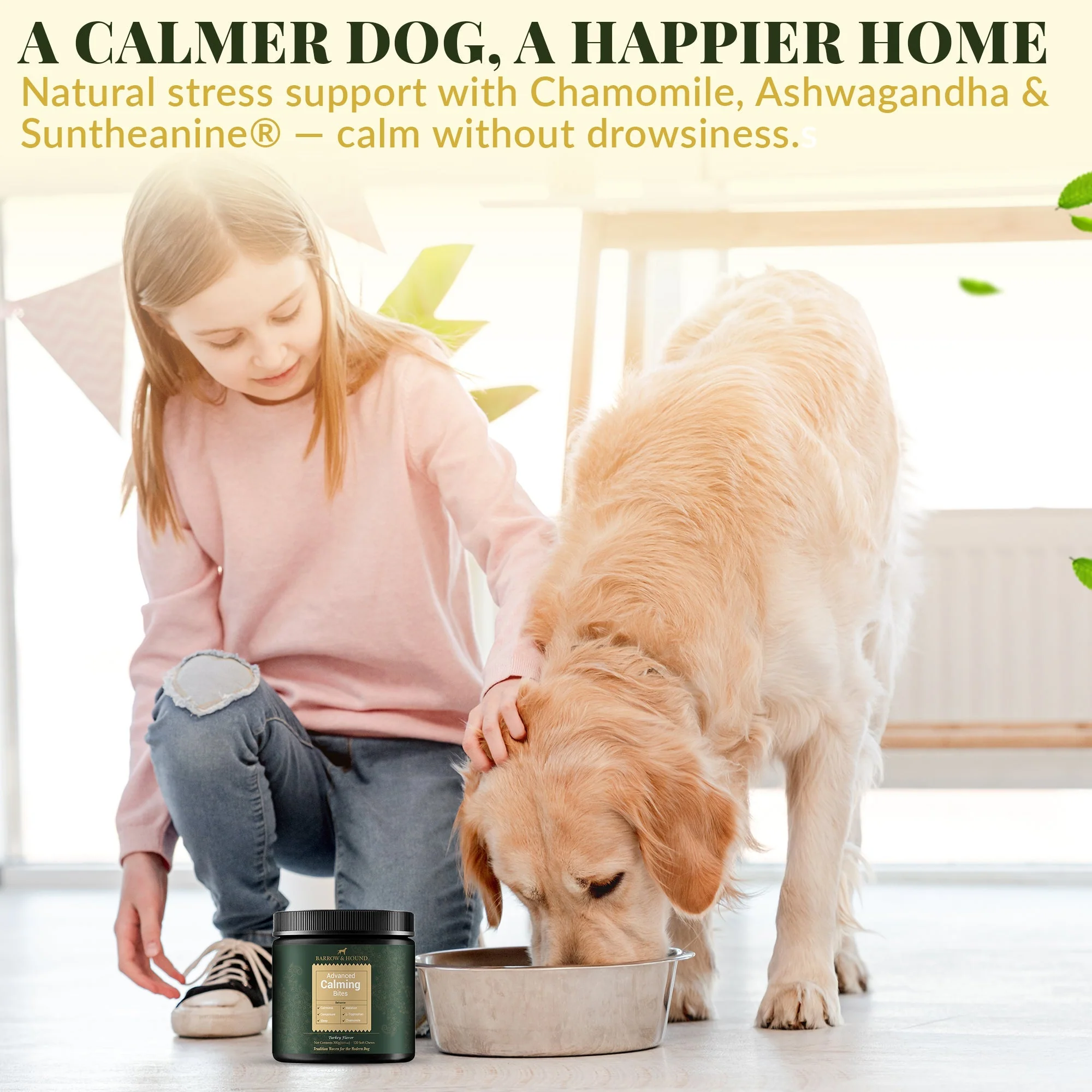 Calming Bites for Dogs – Stress & Anxiety Relief - Image 7