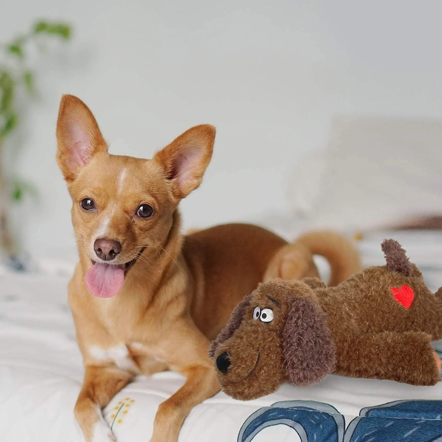Calming Pals-Dog Toy Anti Anxiety Plush Buddy - Image 2