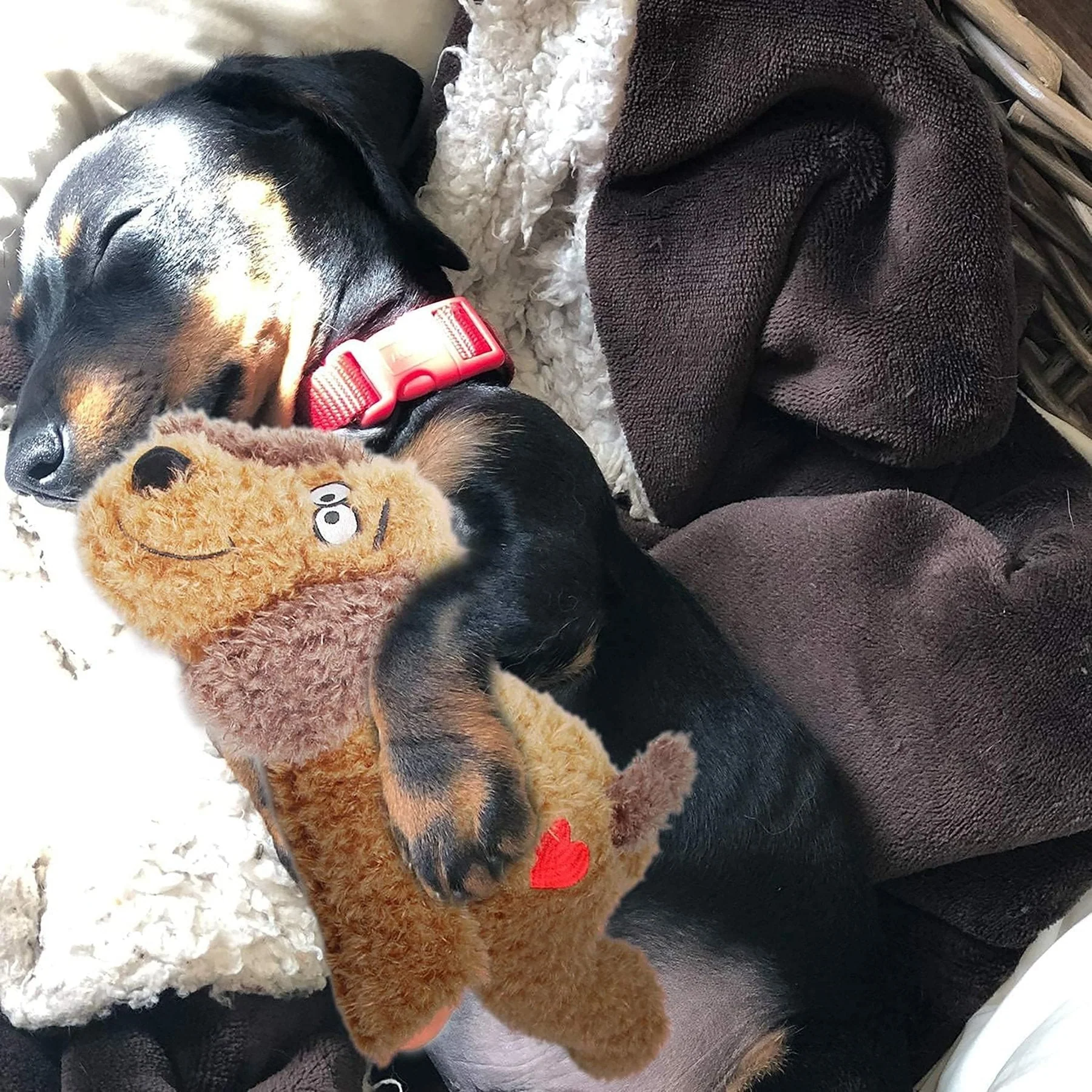 Calming Pals-Dog Toy Anti Anxiety Plush Buddy - Image 3
