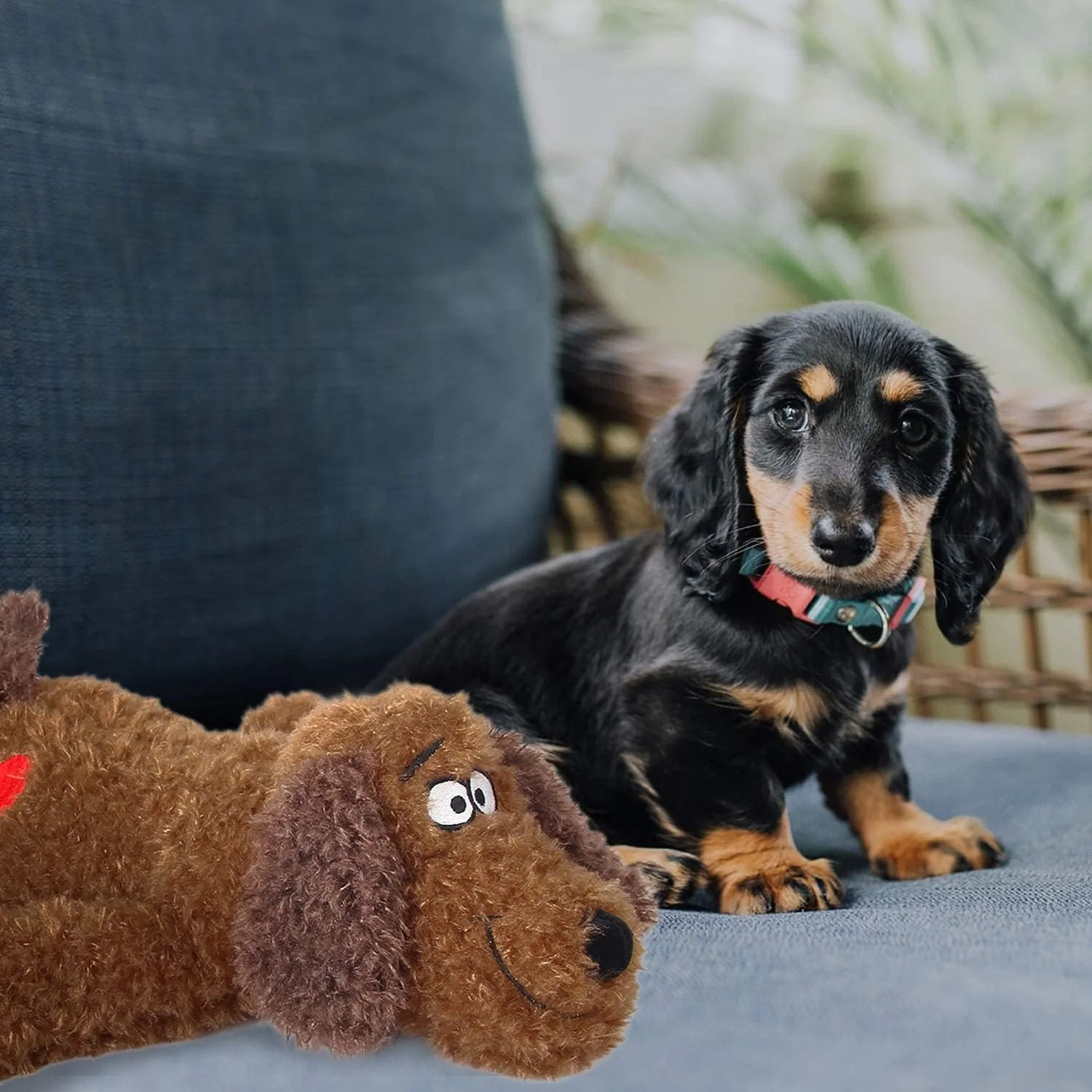 Calming Pals-Dog Toy Anti Anxiety Plush Buddy - Image 4