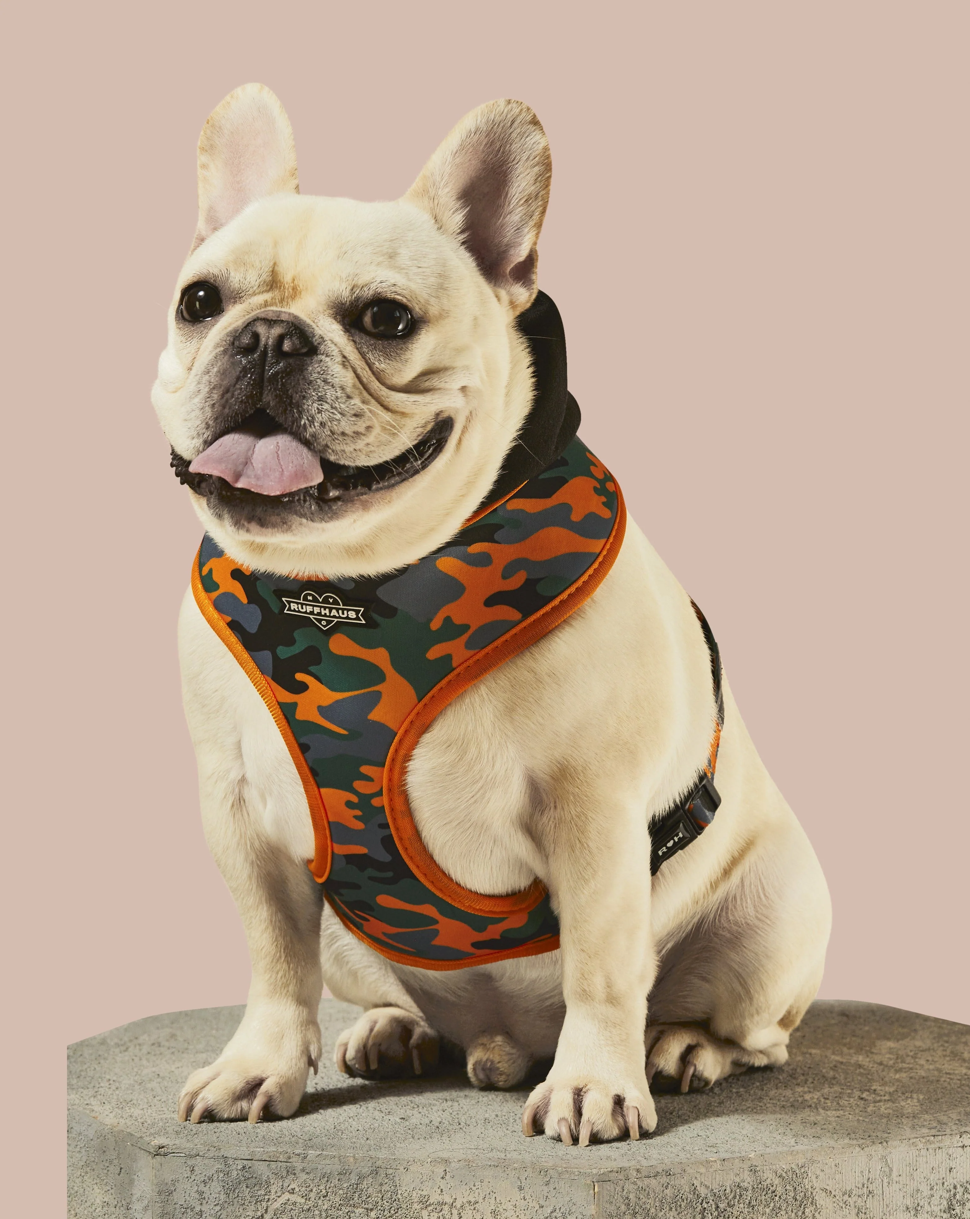 Camo QT Orange Hoodie Harness - Image 3