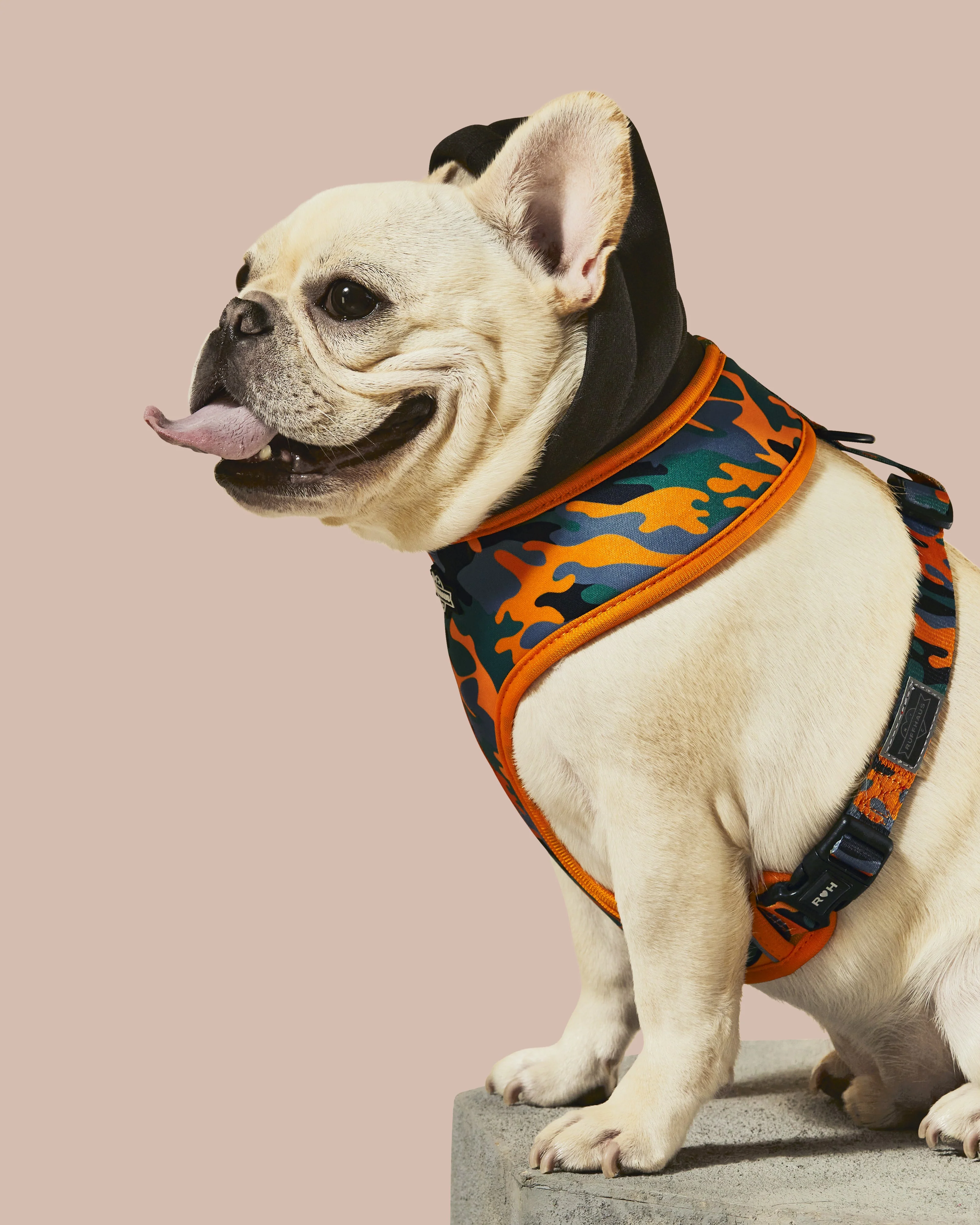 Camo QT Orange Hoodie Harness - Image 4