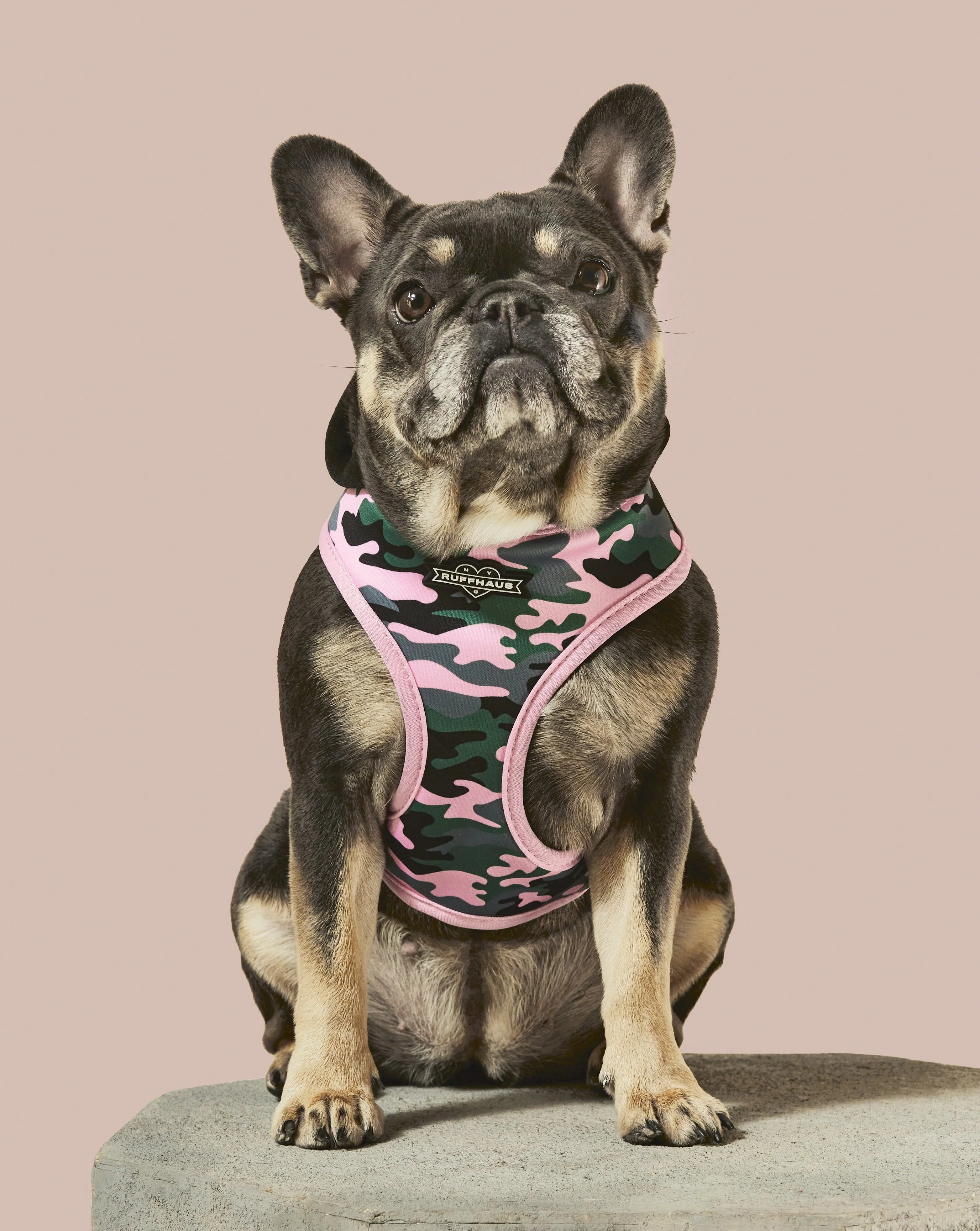 Camo QT Pink Hoodie Harness - Image 2