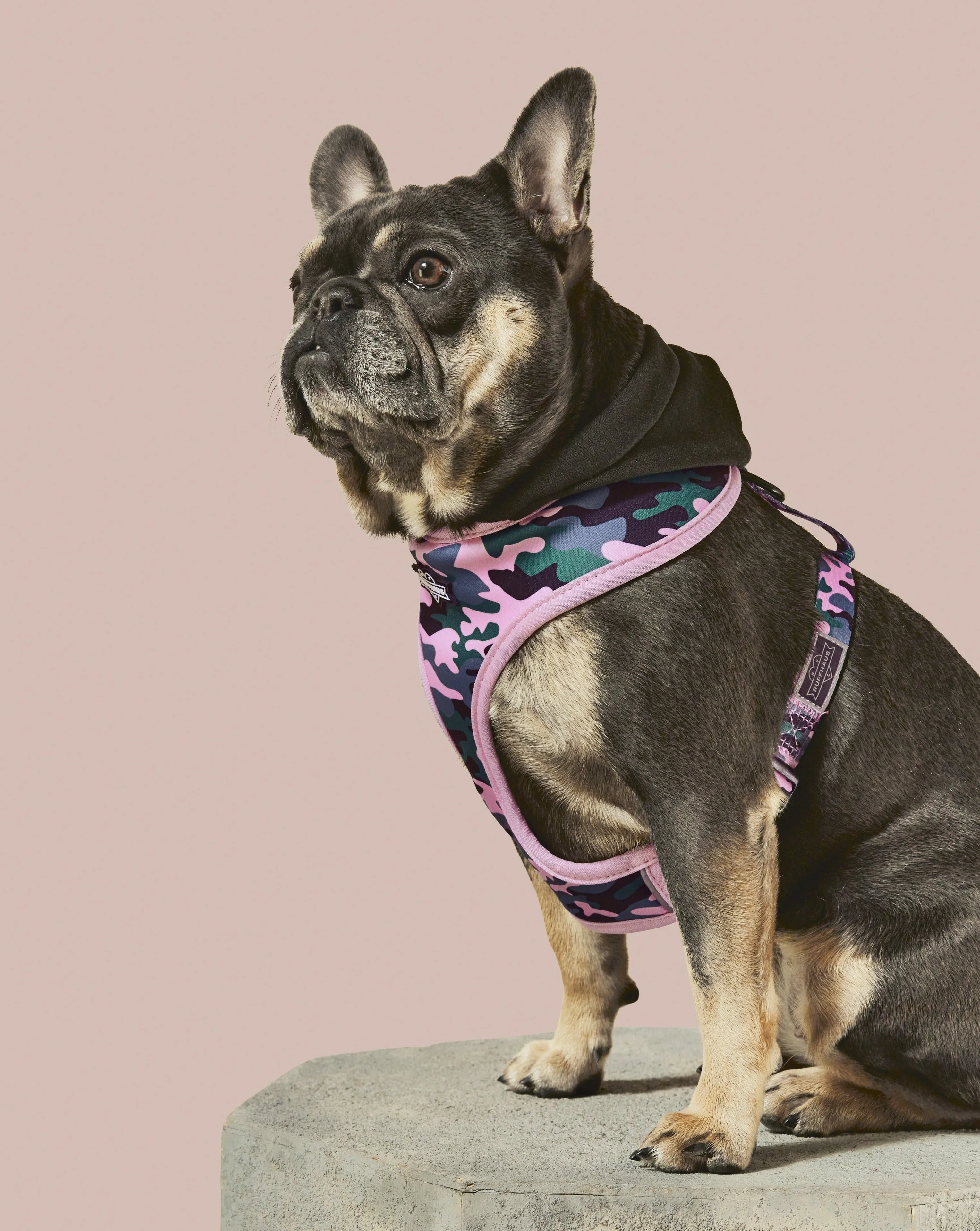 Camo QT Pink Hoodie Harness - Image 3