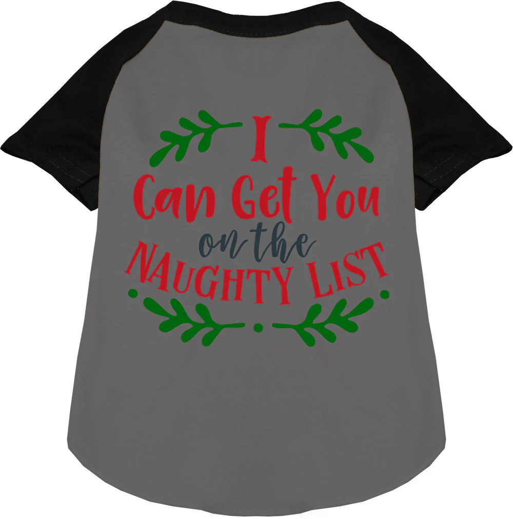 Can Get You on the List Pet Raglan Shirt - Image 3