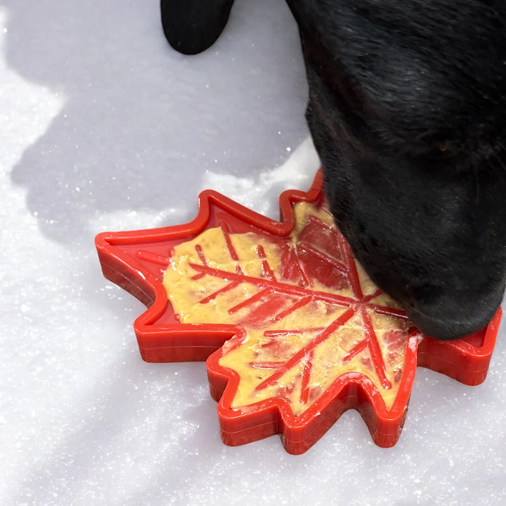 Canadian Maple Leaf Nylon Dog Chew Toy - Indestructible & USA Made - Image 8