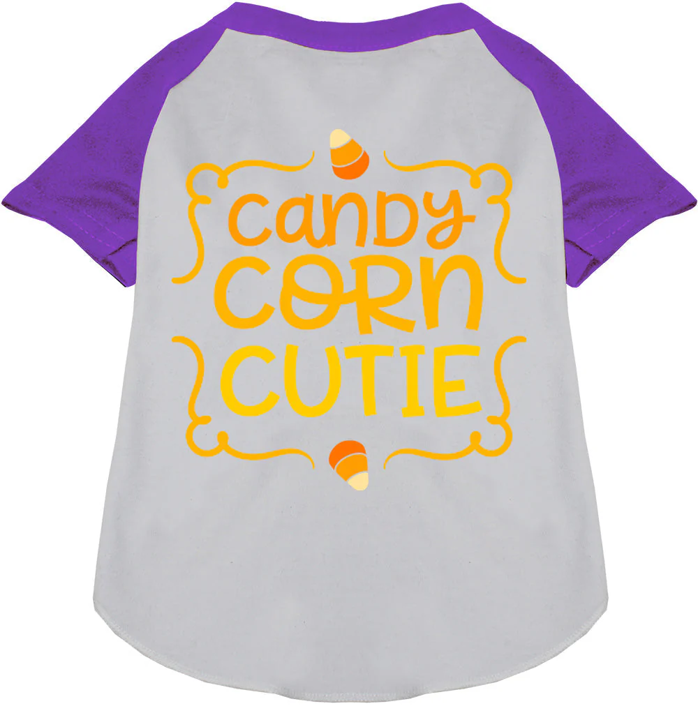 Candy Corn Cutie Pet Raglan Shirt - Image 6