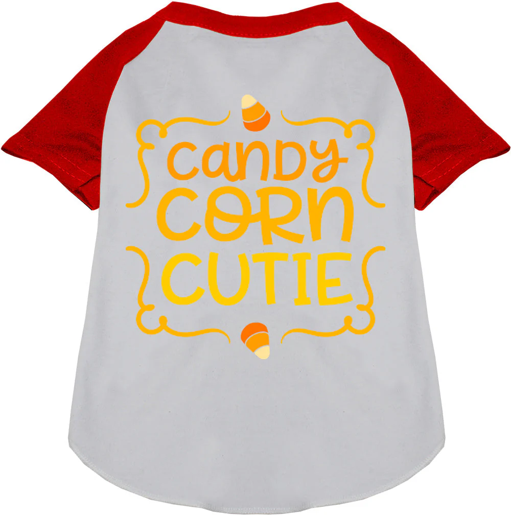 Candy Corn Cutie Pet Raglan Shirt - Image 7