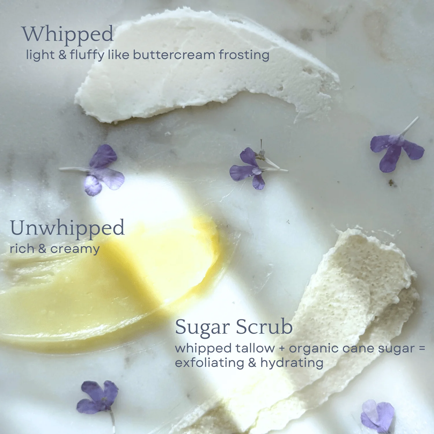 Capsule Skincare Kit - Image 4