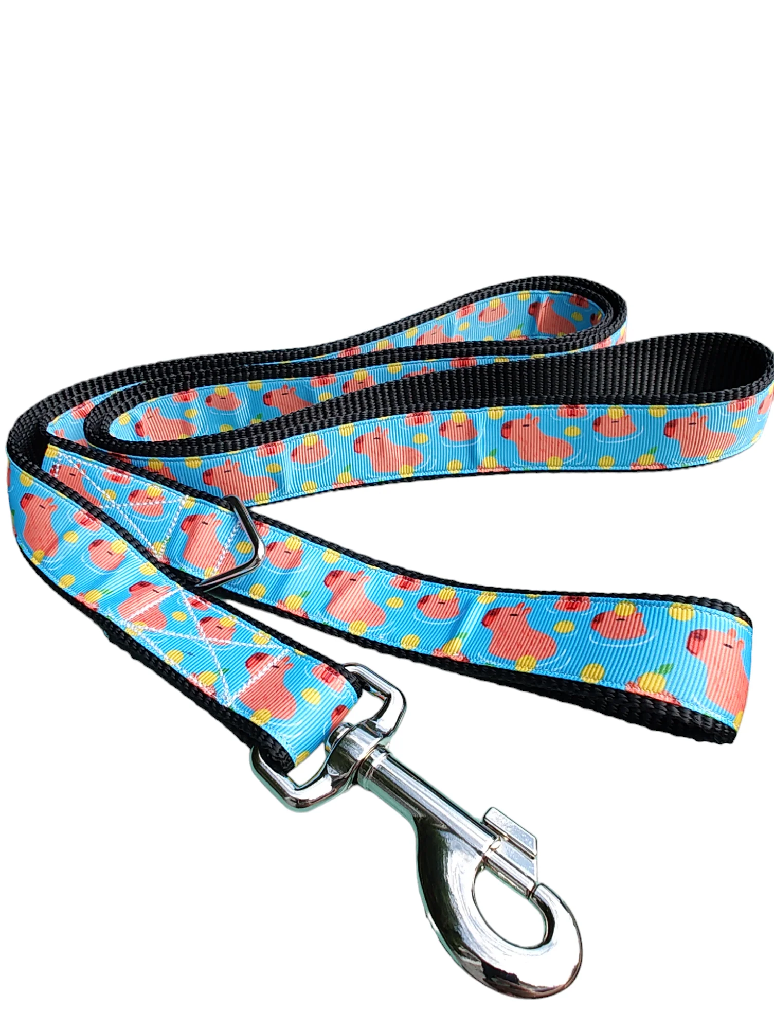 Capybara Nylon Dog Collar - Image 3