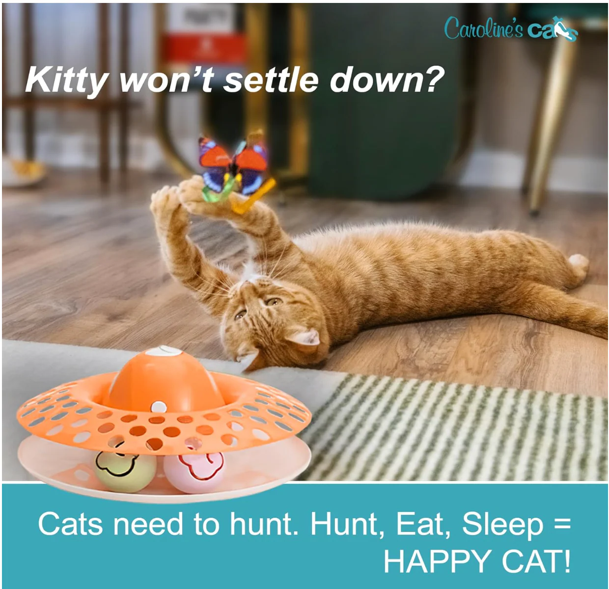 Caroline's Cats Automatic Butterfly Cat Toy – Interactive 2 in 1 with Auto Shut Off & Catnip Ball Track; Recommended Electric Exercise & Enrichment Game - Image 3