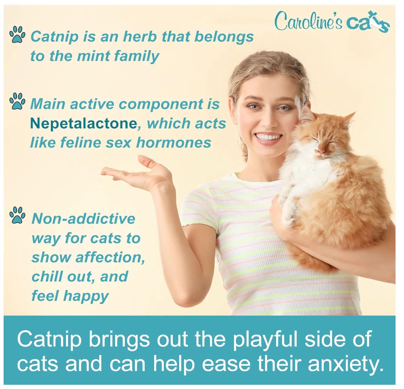 Caroline's Cats Organic Catnip Packets for Cat Toys 2.0 – More Potent Refill Pouches for Flapping Bird, Flopping Fish, and Others, 10 Tea Bags - Image 2