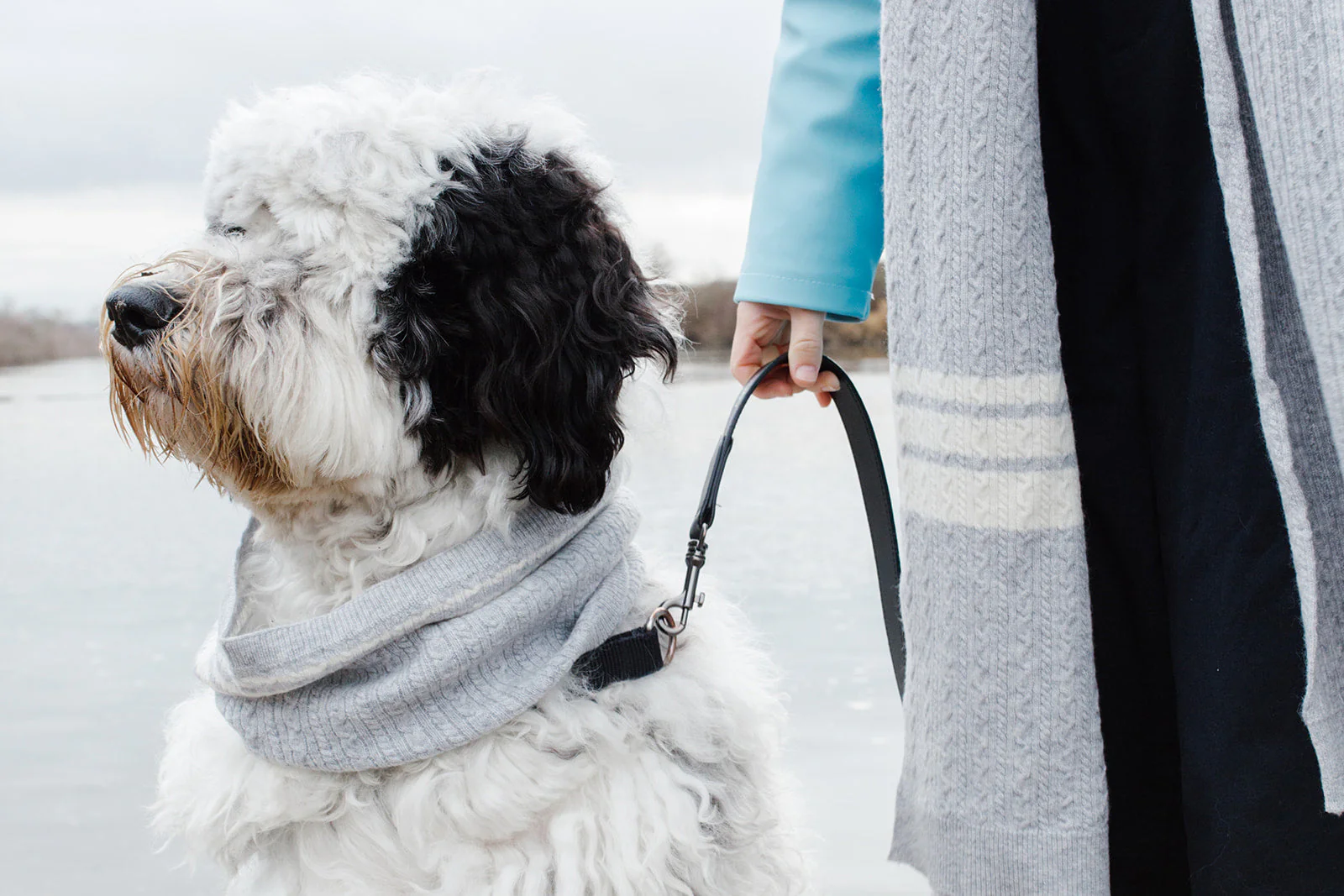 Cashmere Blend Scarf sets for Pets and their humans, Heather Grey - Image 2