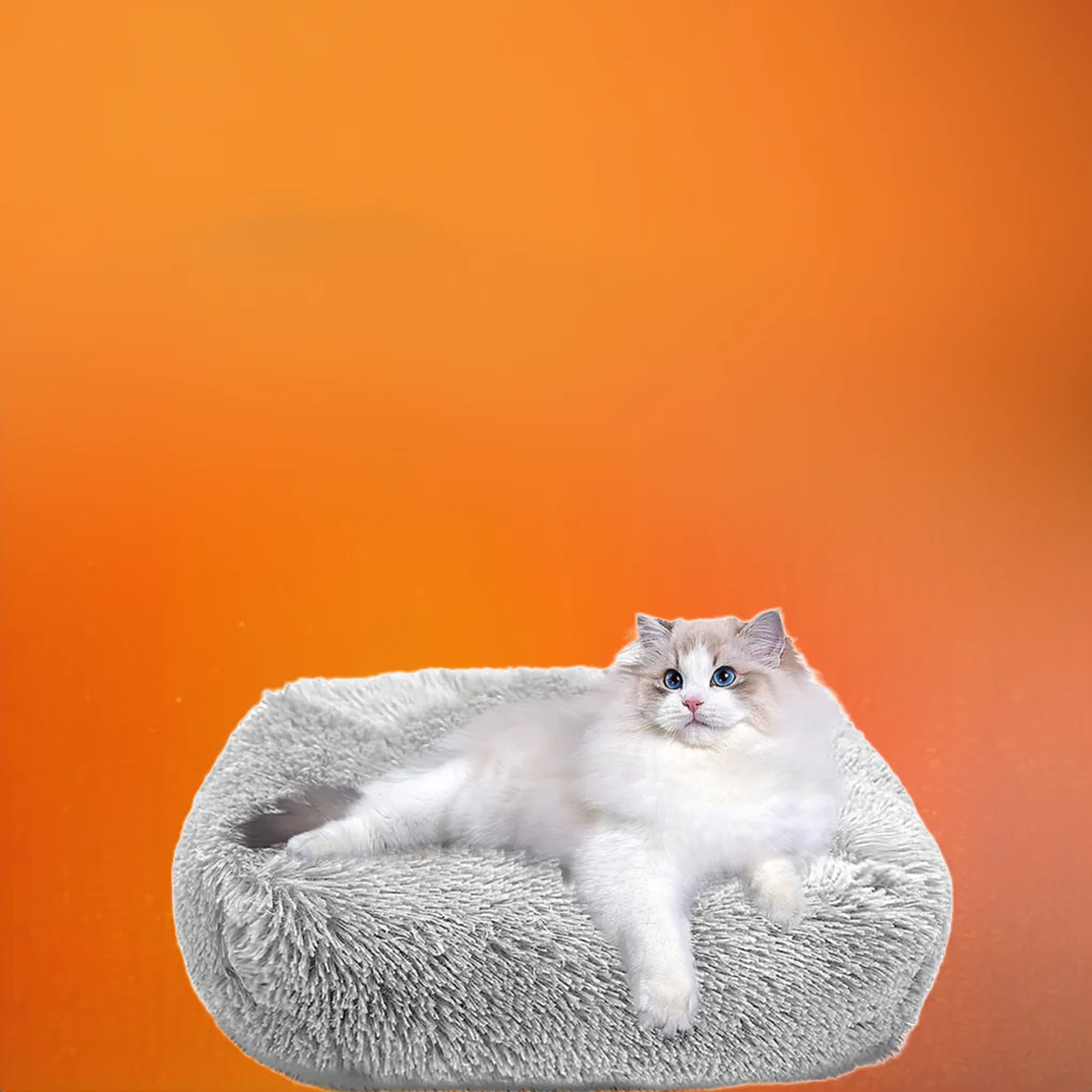 Cat Bed for Indoor Cats and small dogs - Image 2