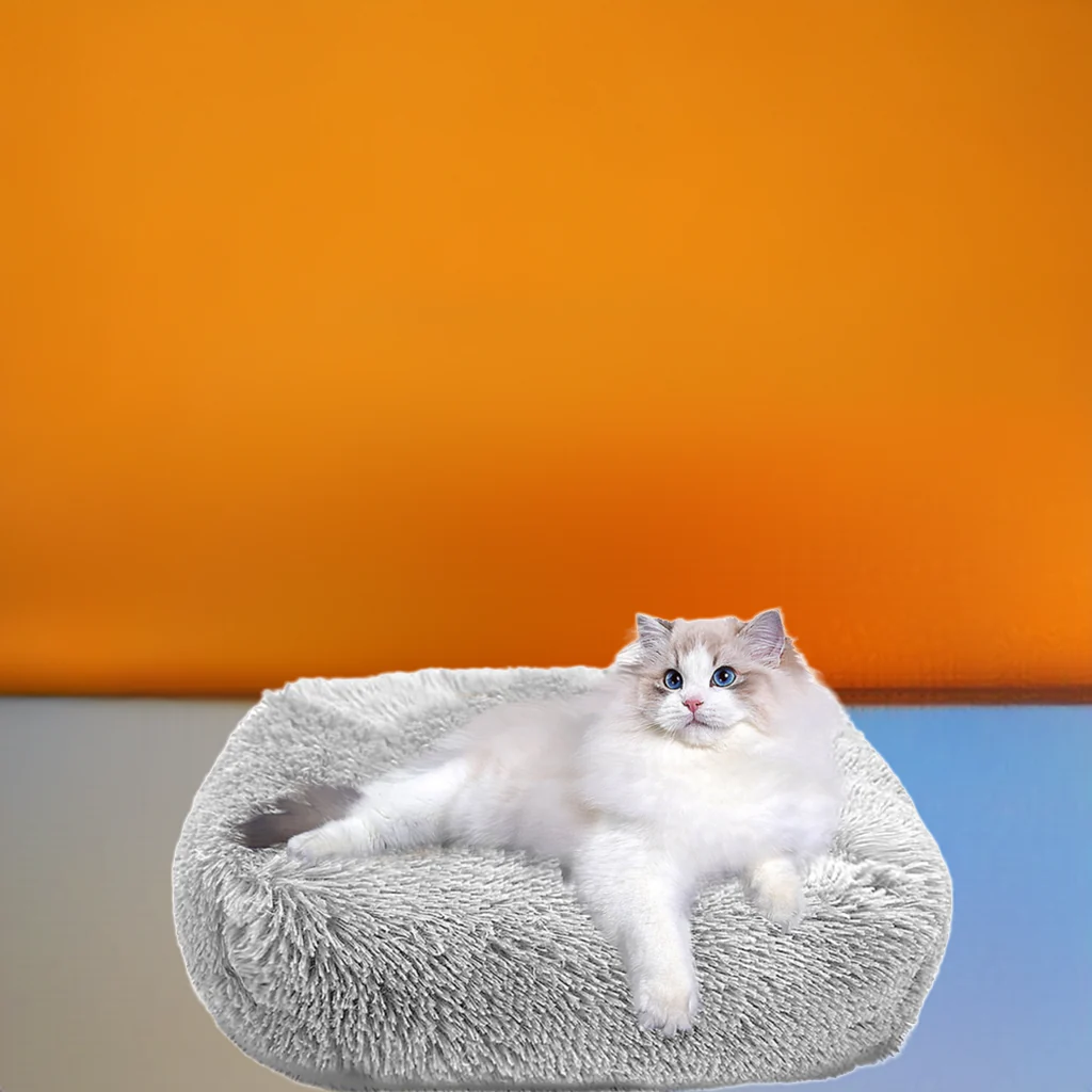 Cat Bed for Indoor Cats and small dogs - Image 3