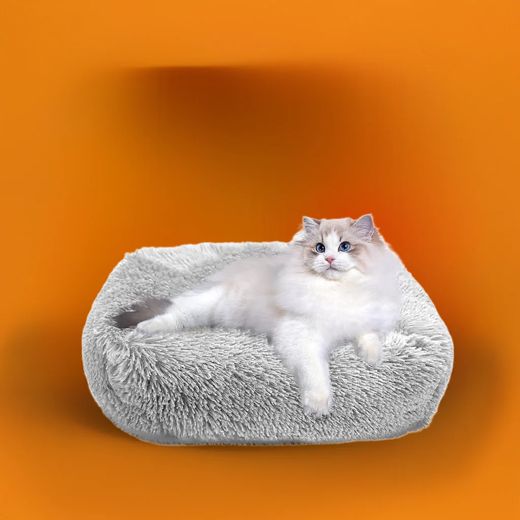 Cat Bed for Indoor Cats and small dogs - Image 4