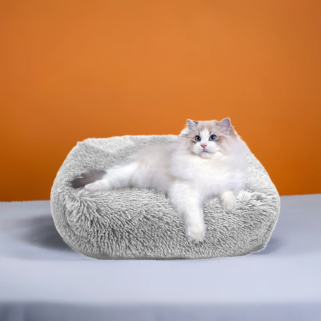 Cat Bed for Indoor Cats and small dogs - Image 5