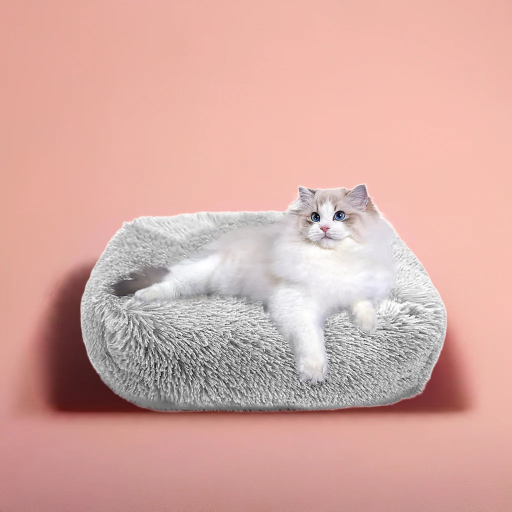 Cat Bed for Indoor Cats and small dogs - Image 6