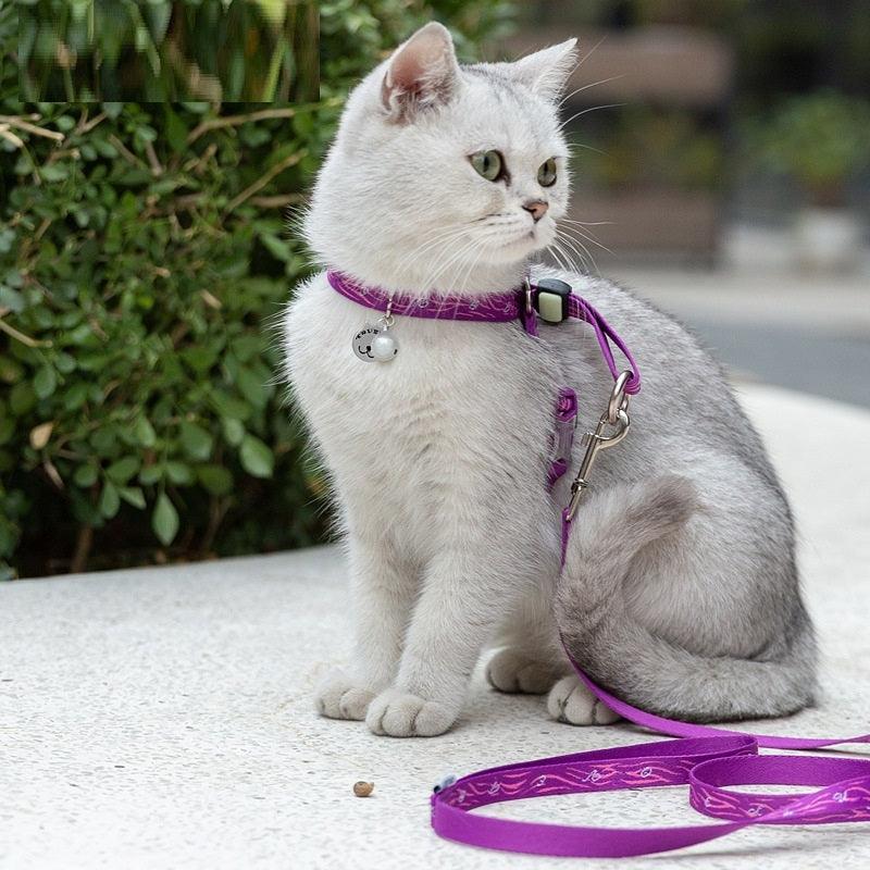 Cat Bell Chest Strap Traction Rope Set - Image 7