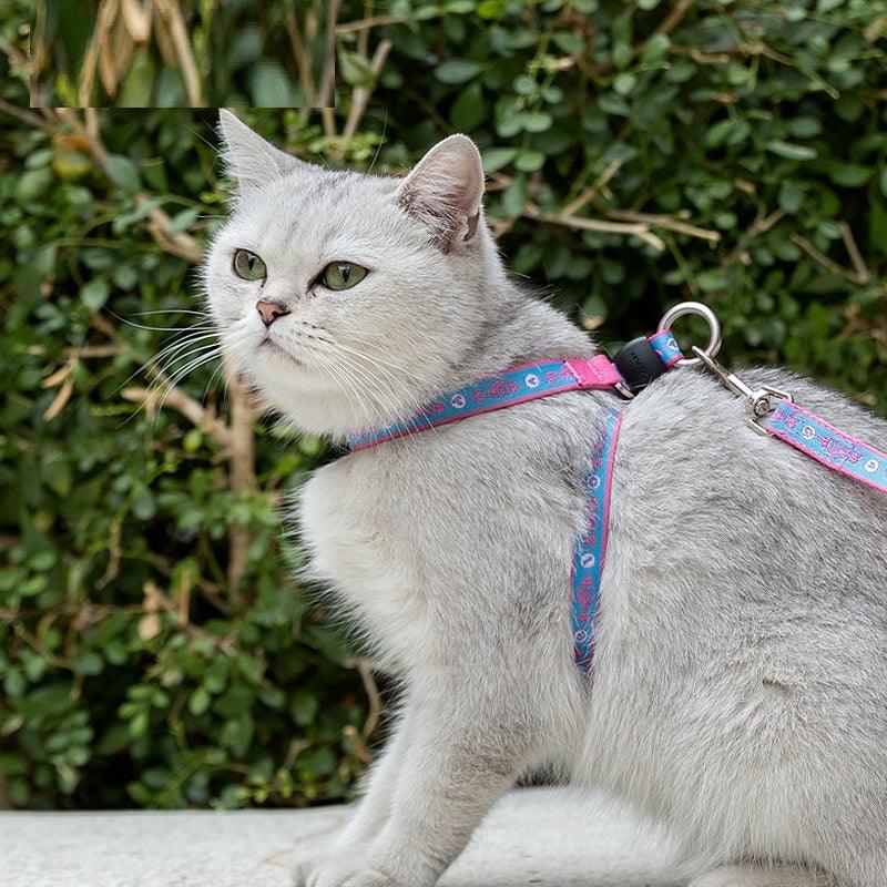 Cat Bell Chest Strap Traction Rope Set - Image 9