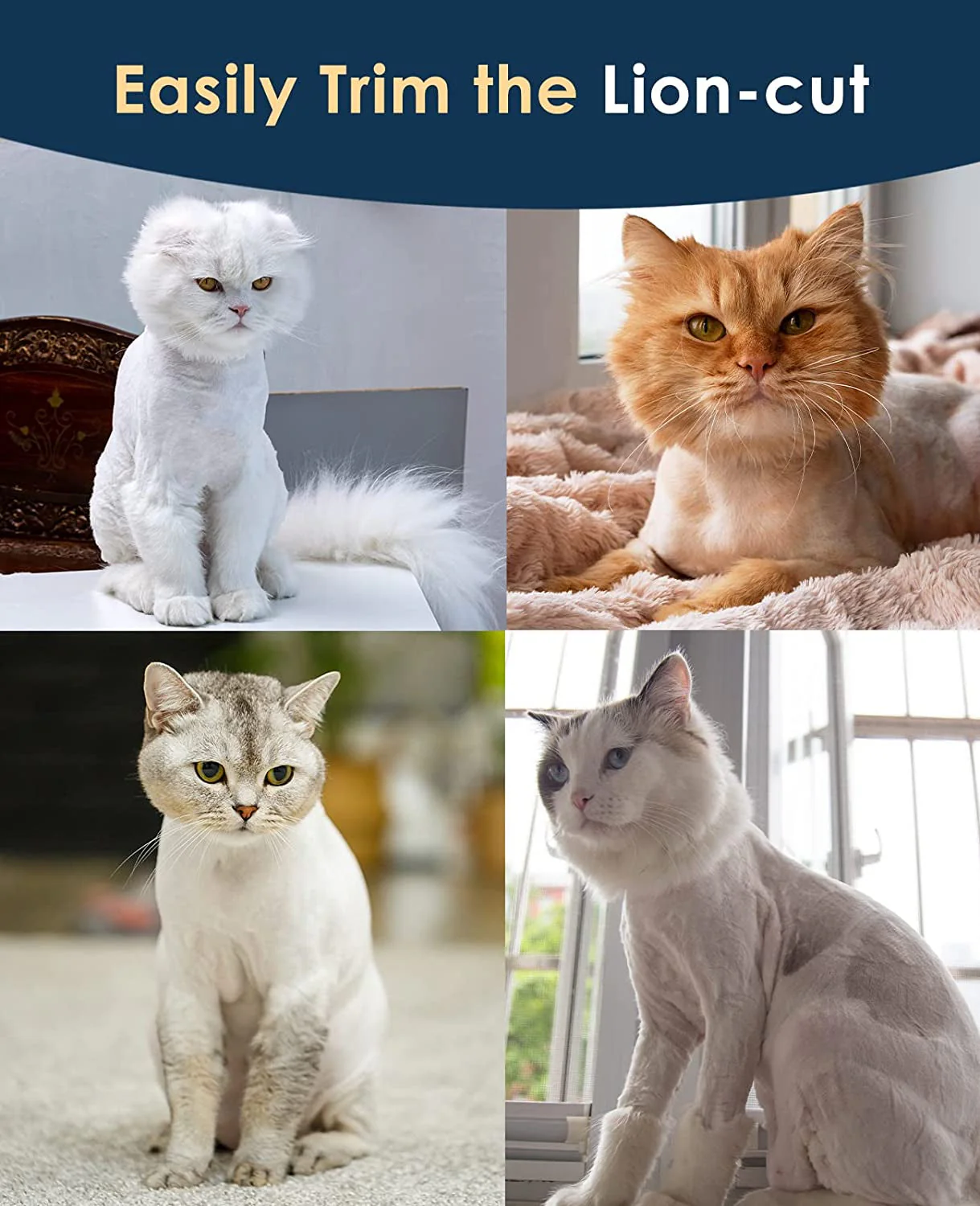 Cat Clippers for grooming - Image 5