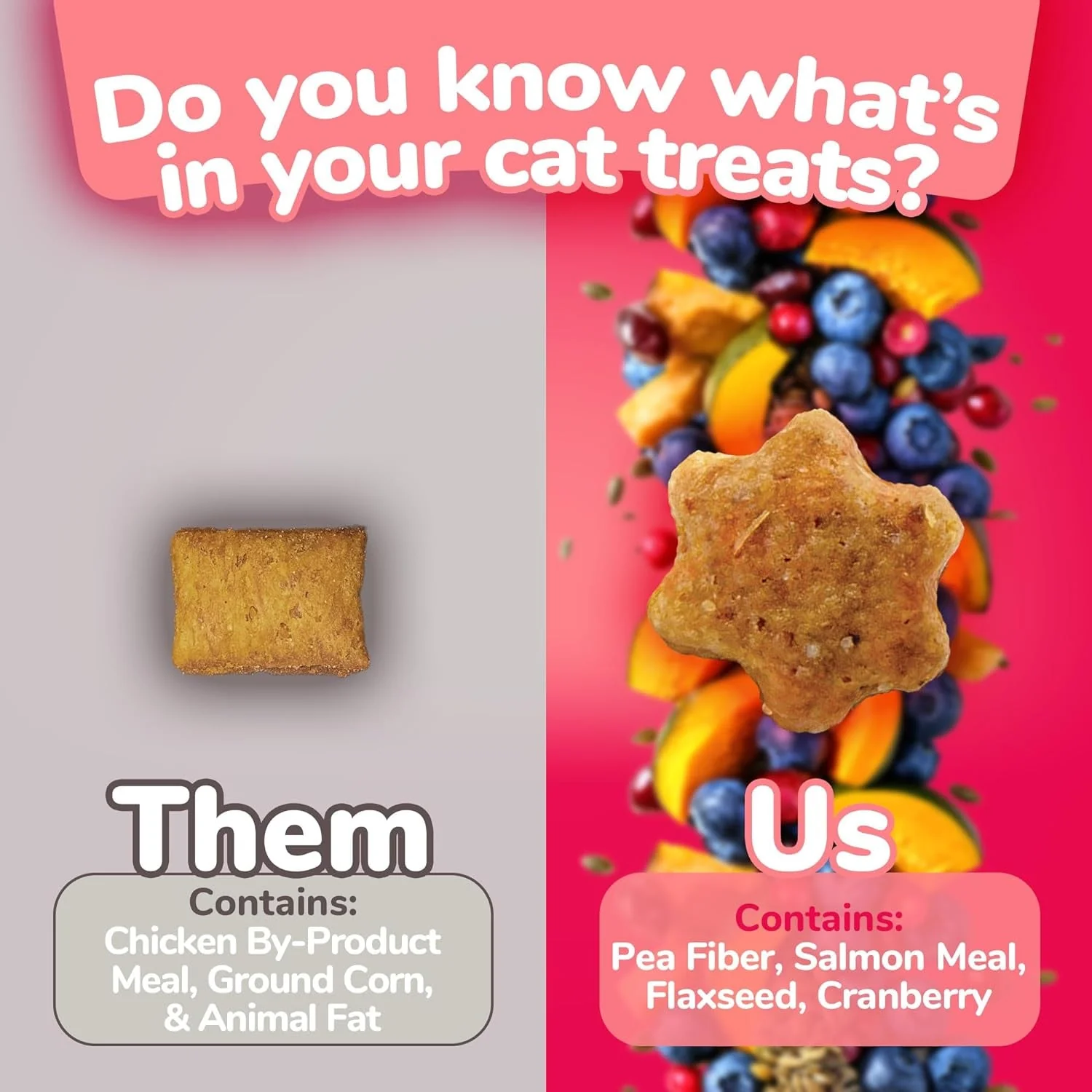 Cat Crunchy Treats  made with salmon - Image 4