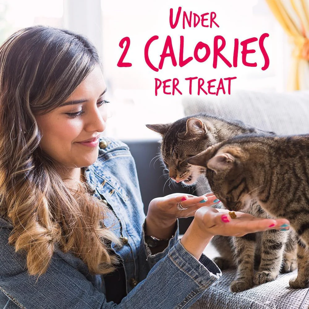Cat Crunchy Treats  made with salmon - Image 5