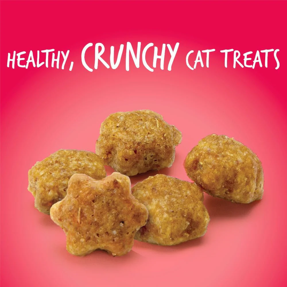 Cat Crunchy Treats  made with salmon - Image 7