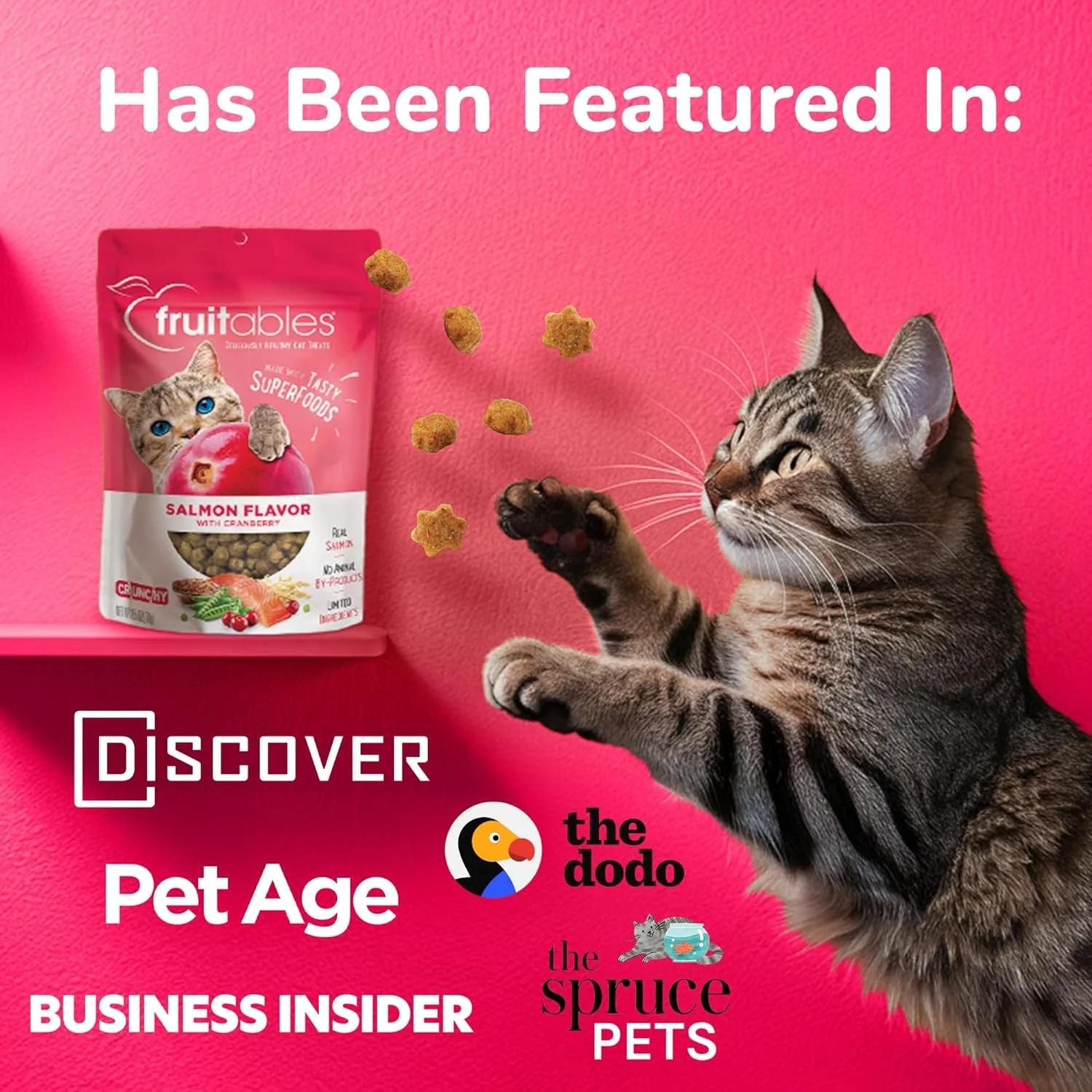 Cat Crunchy Treats  made with salmon - Image 8