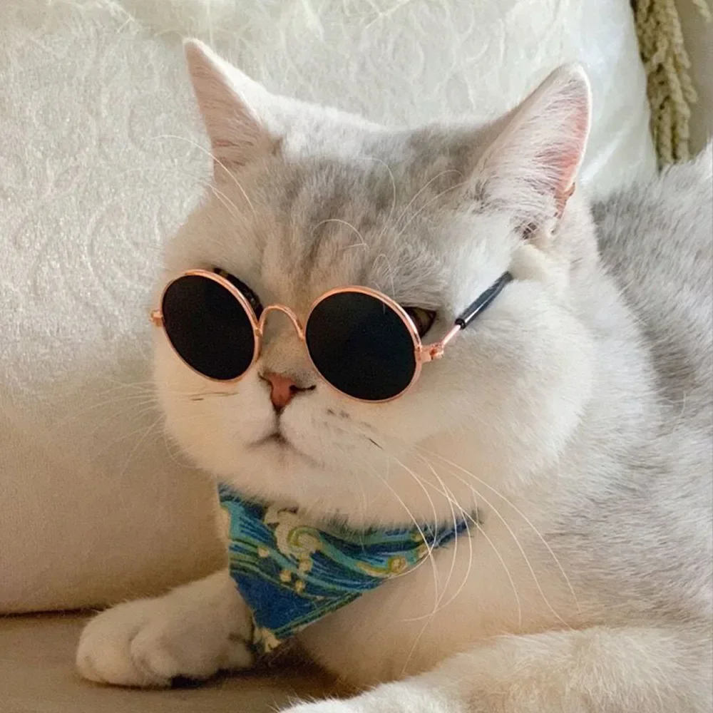 Cat & Dog Sunglasses – UV Protection Pet Photo Props - Image 2