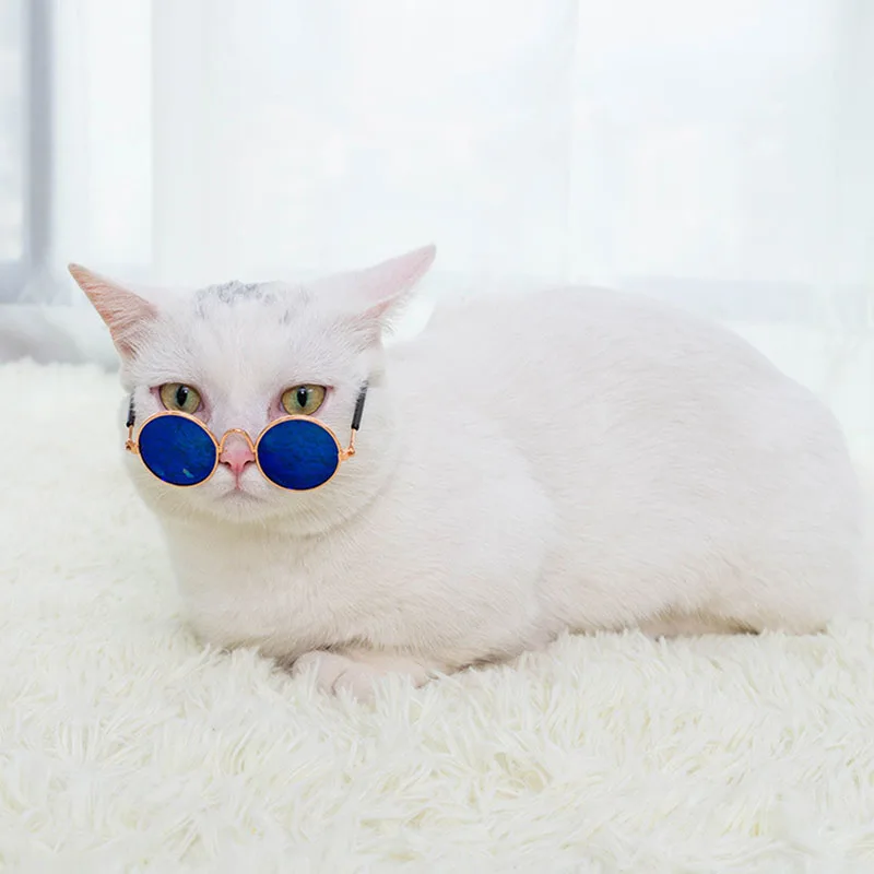 Cat & Dog Sunglasses – UV Protection Pet Photo Props - Image 5