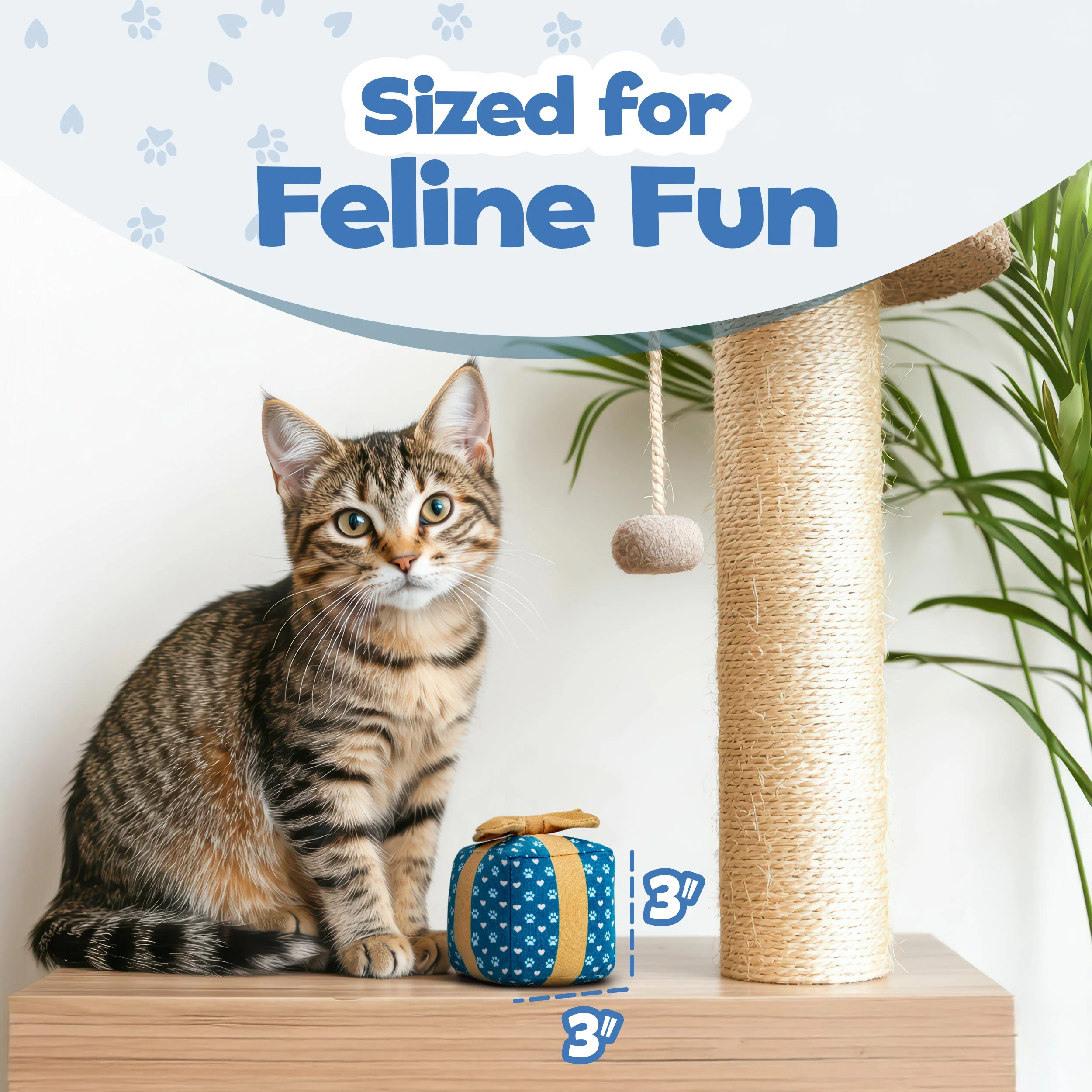 Cat Gift Box Catnip Toy – Crinkle Cat Toy for Indoor Cats, Cute Plush Birthday Present Kitty Toy with Catnip Inside - Image 5