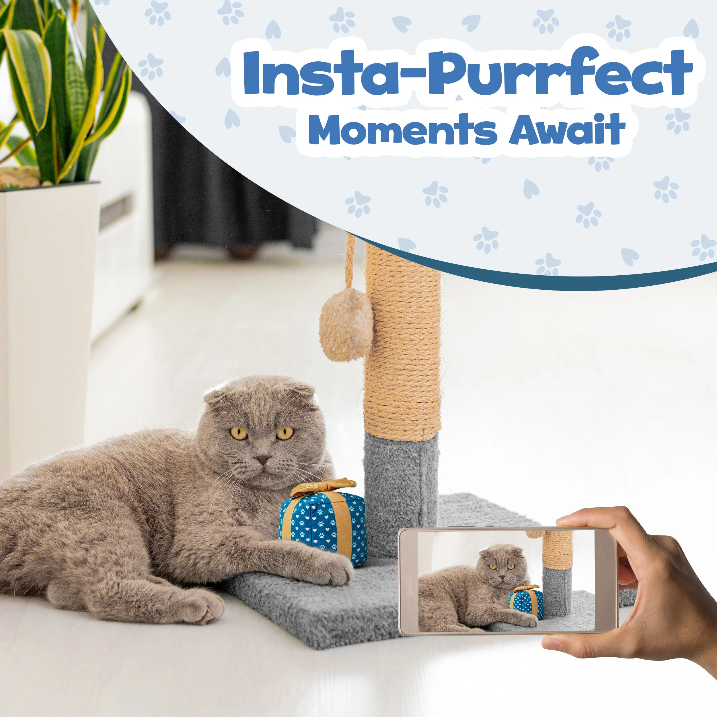 Cat Gift Box Catnip Toy – Crinkle Cat Toy for Indoor Cats, Cute Plush Birthday Present Kitty Toy with Catnip Inside - Image 6