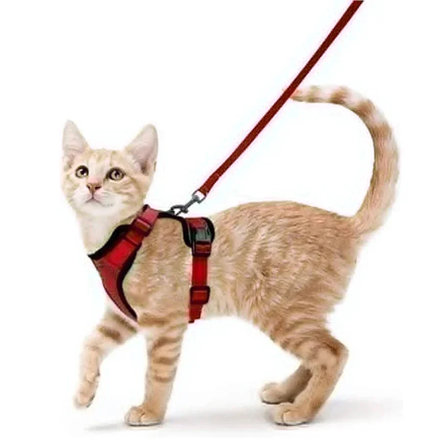 Cat Harness and Leash – Soft Adjustable Escape-Proof Vest for Walking Cats - Image 10