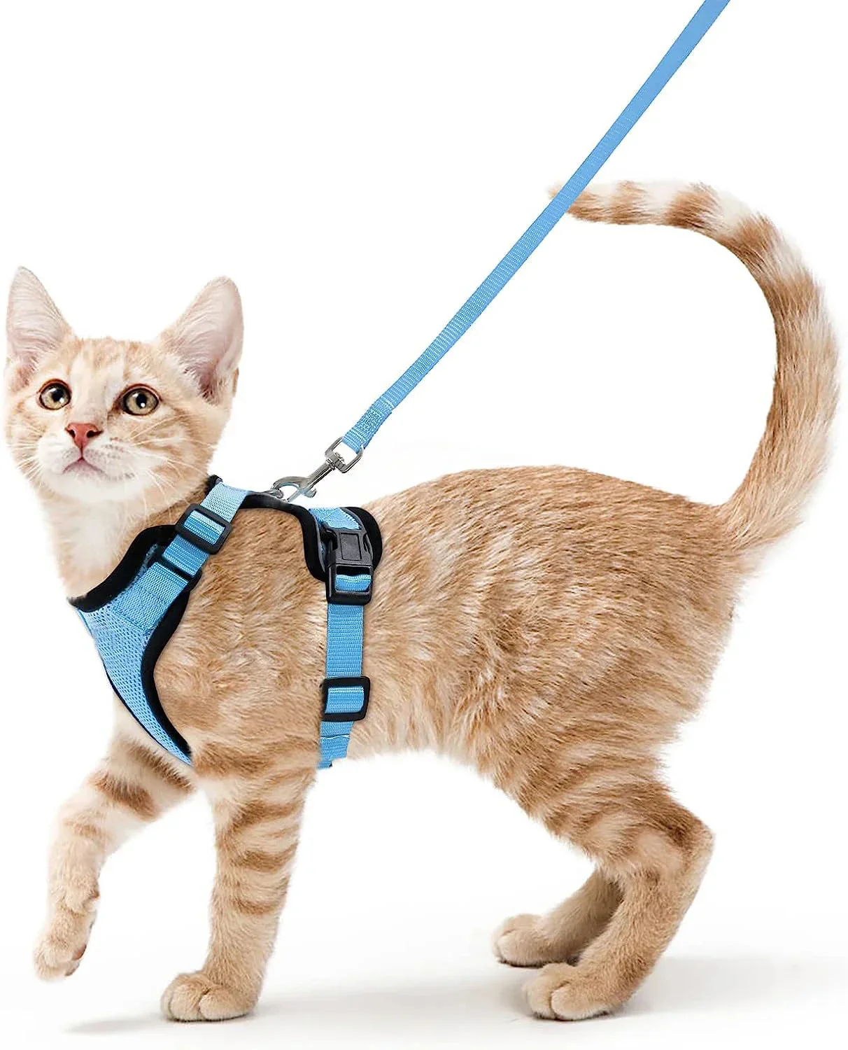 Cat Harness and Leash – Soft Adjustable Escape-Proof Vest for Walking Cats - Image 11
