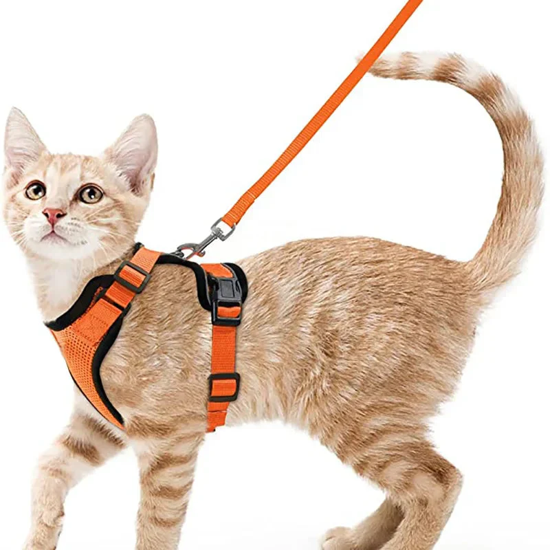 Cat Harness and Leash – Soft Adjustable Escape-Proof Vest for Walking Cats - Image 13