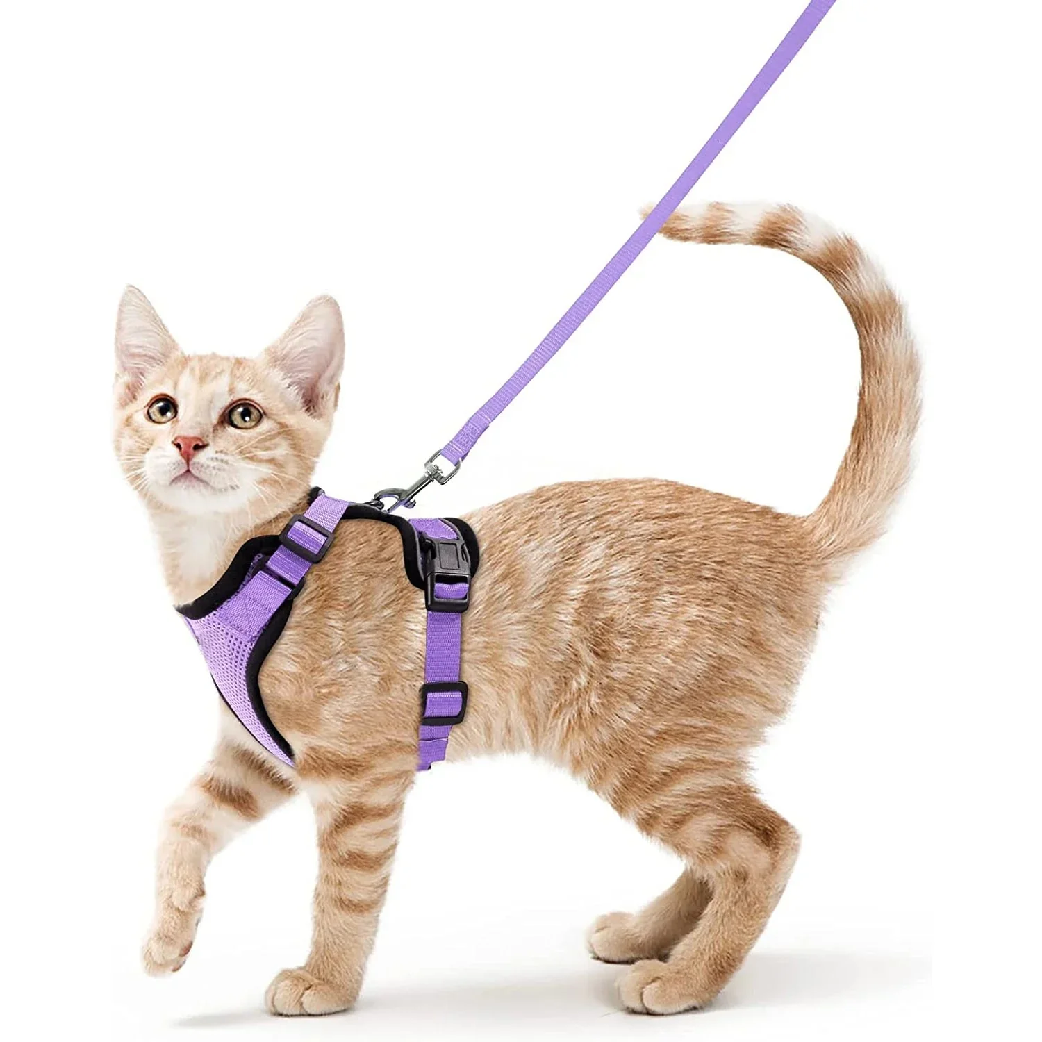 Cat Harness and Leash – Soft Adjustable Escape-Proof Vest for Walking Cats - Image 14