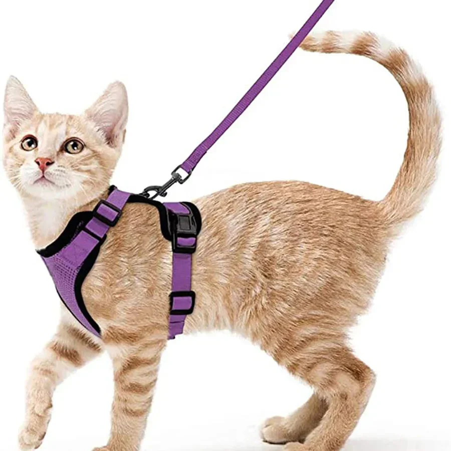 Cat Harness and Leash – Soft Adjustable Escape-Proof Vest for Walking Cats - Image 15