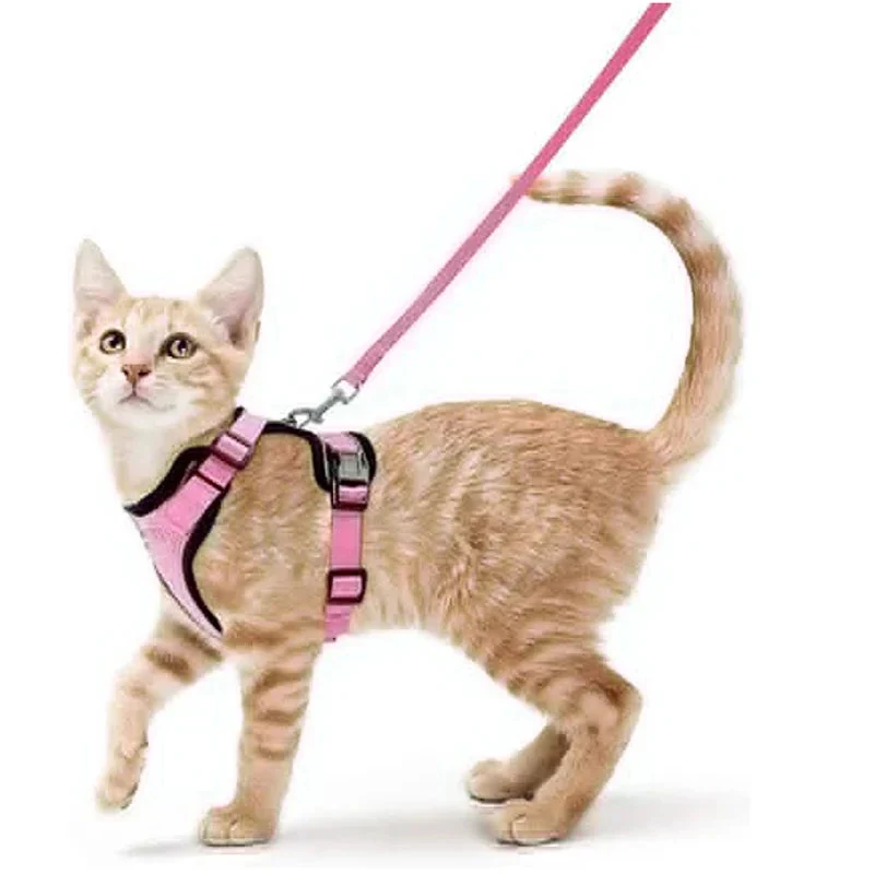 Cat Harness and Leash – Soft Adjustable Escape-Proof Vest for Walking Cats - Image 16