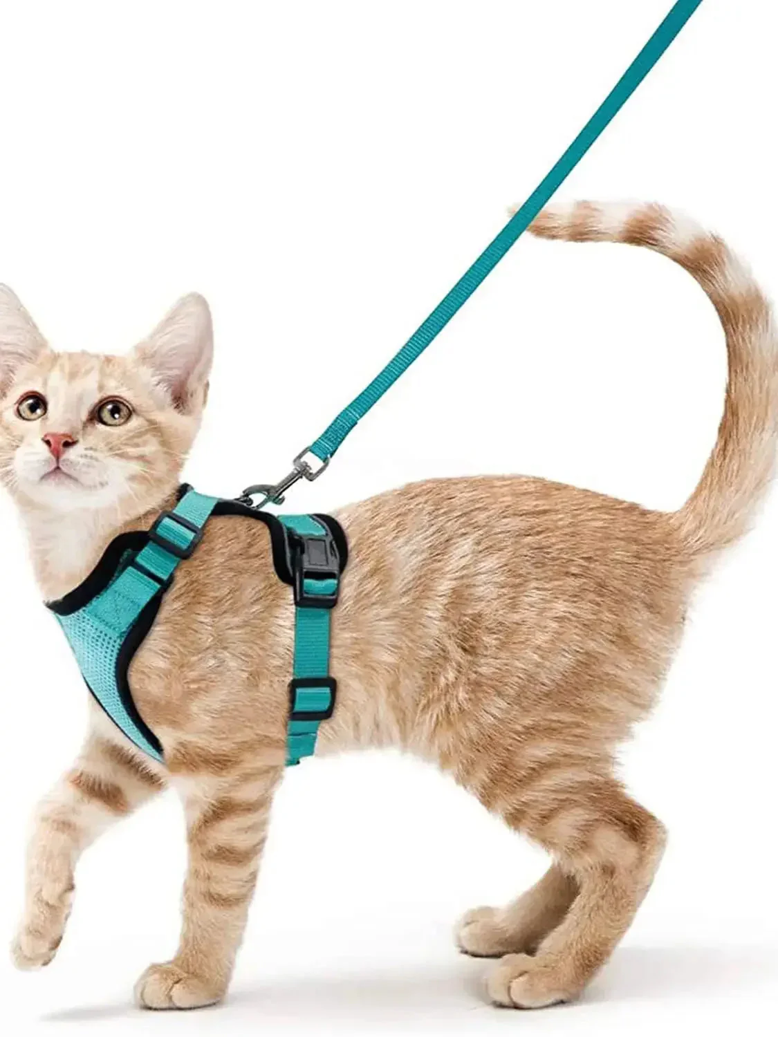 Cat Harness and Leash – Soft Adjustable Escape-Proof Vest for Walking Cats - Image 17