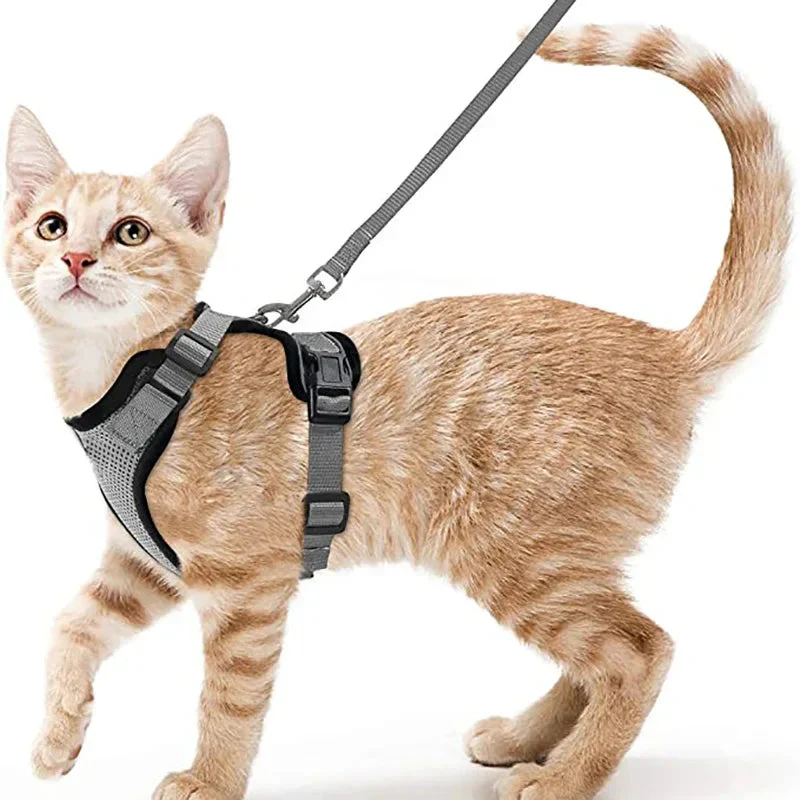 Cat Harness and Leash – Soft Adjustable Escape-Proof Vest for Walking Cats - Image 8