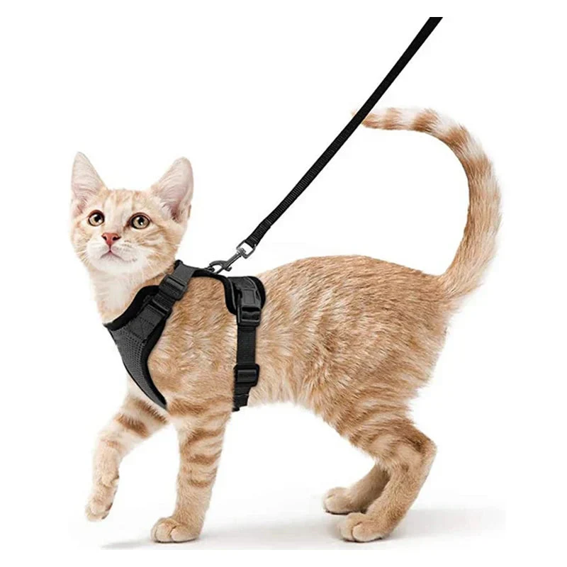 Cat Harness and Leash – Soft Adjustable Escape-Proof Vest for Walking Cats - Image 9