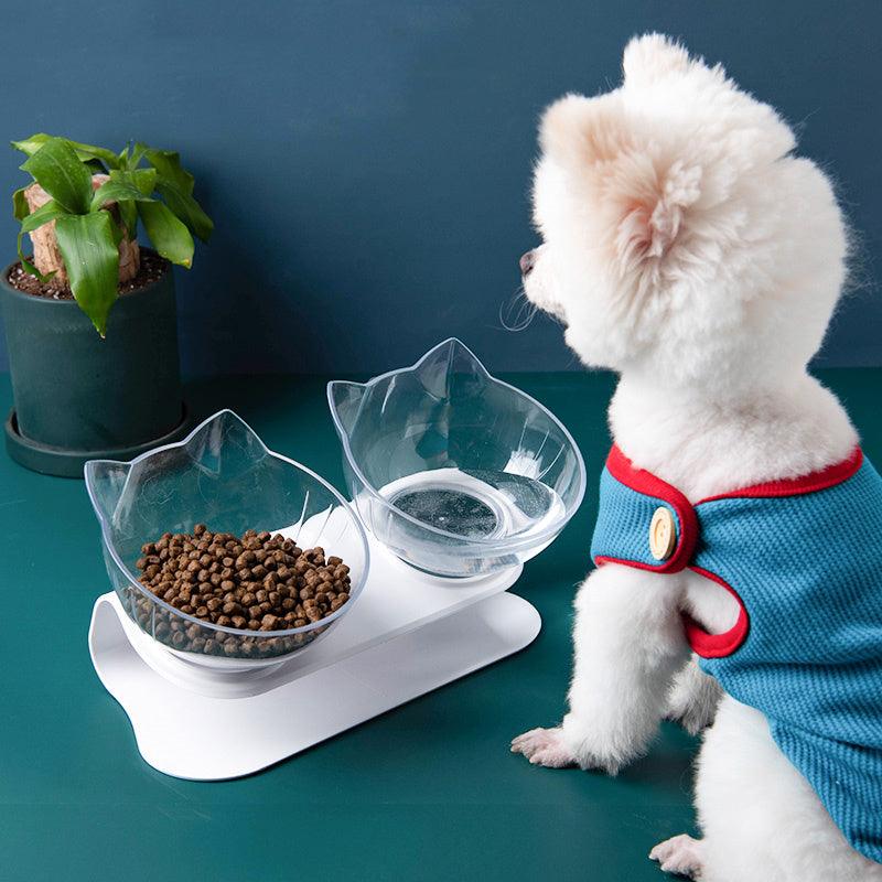 Cat Inclined Transparent Feeding Bowls