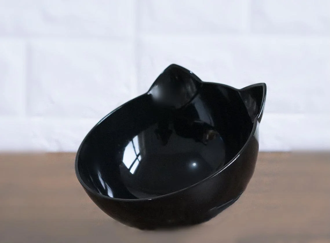 Cat Inclined Transparent Feeding Bowls - Image 15