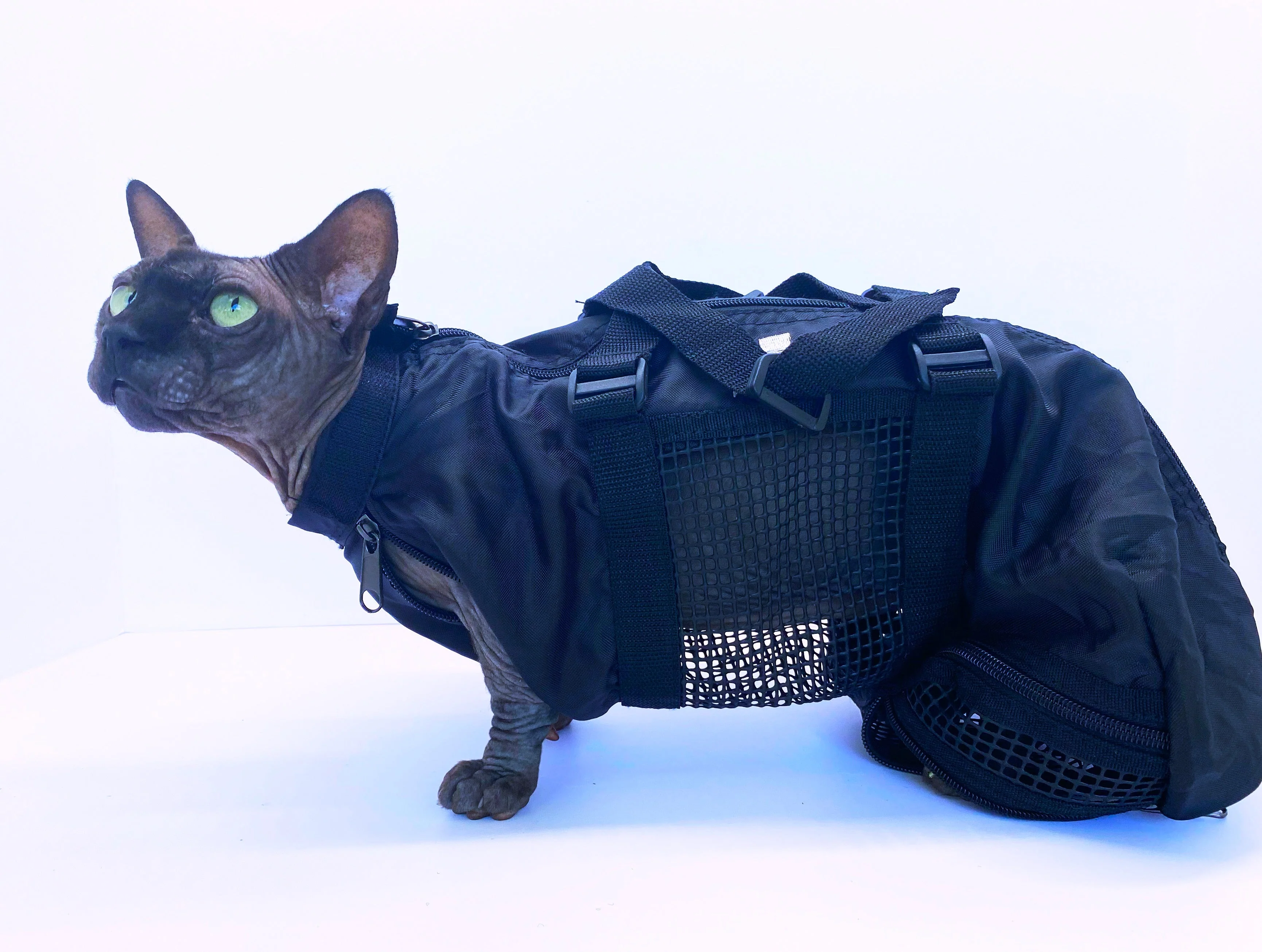 CAT/SMALL DOG GROOMING BAG - Image 5
