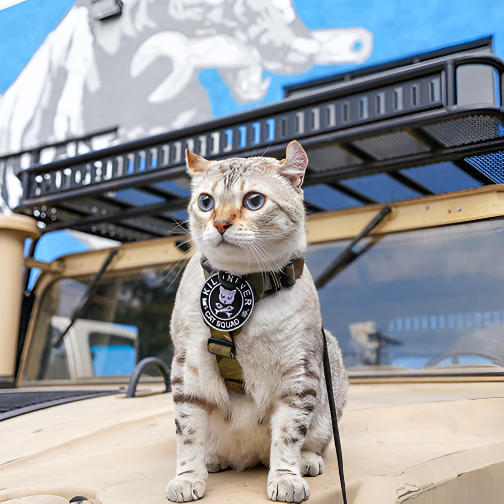 CAT SQUAD Morale Patch - Image 3
