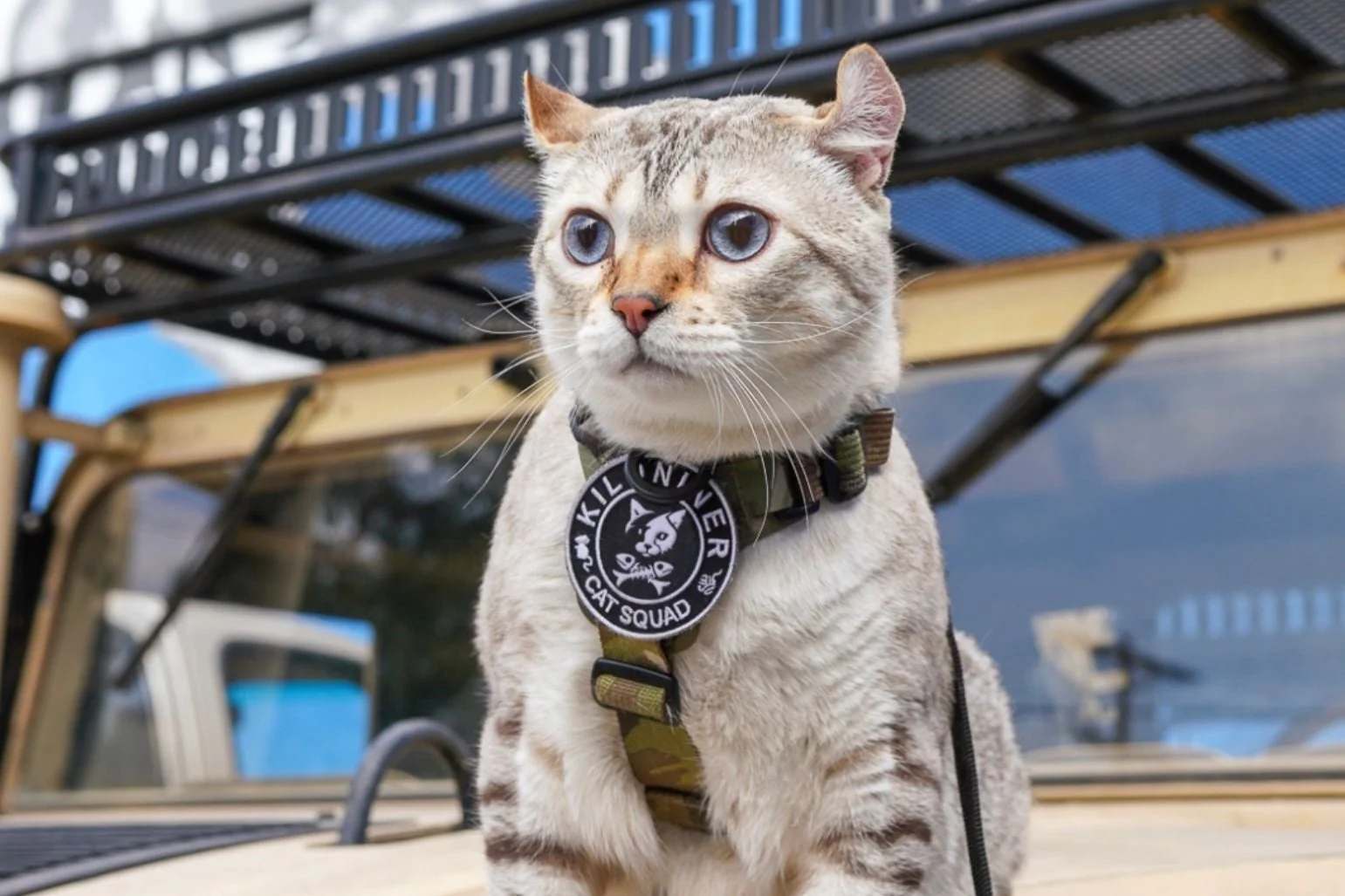 CAT SQUAD Morale Patch - Image 4