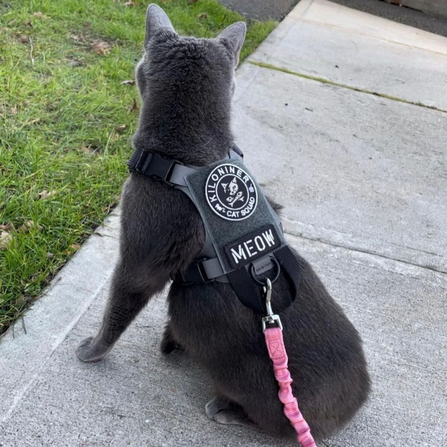 CAT SQUAD Morale Patch - Image 5