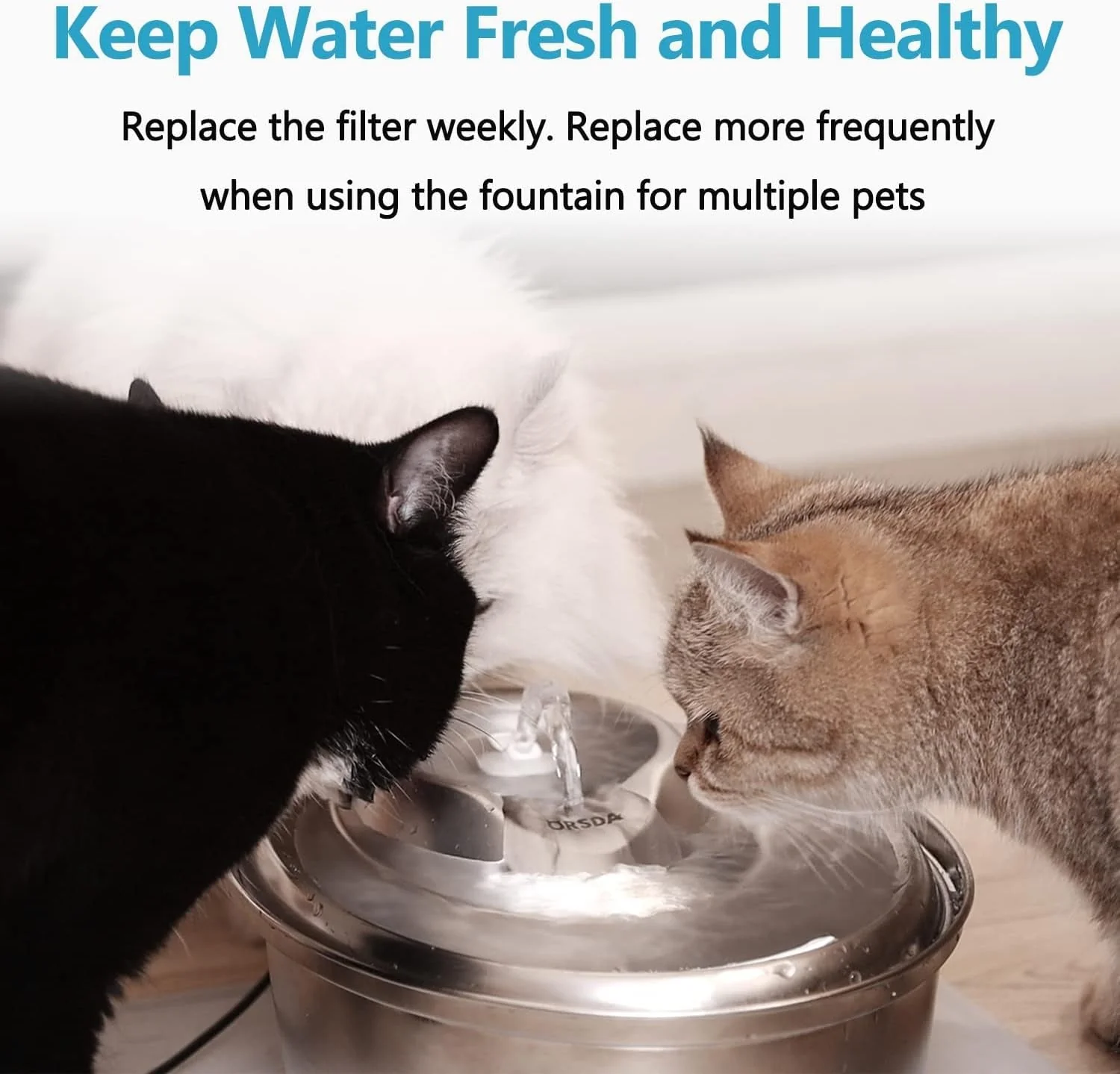 Cat Water Fountain filter - Image 7